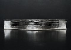 Small Polished Serpentine Fender