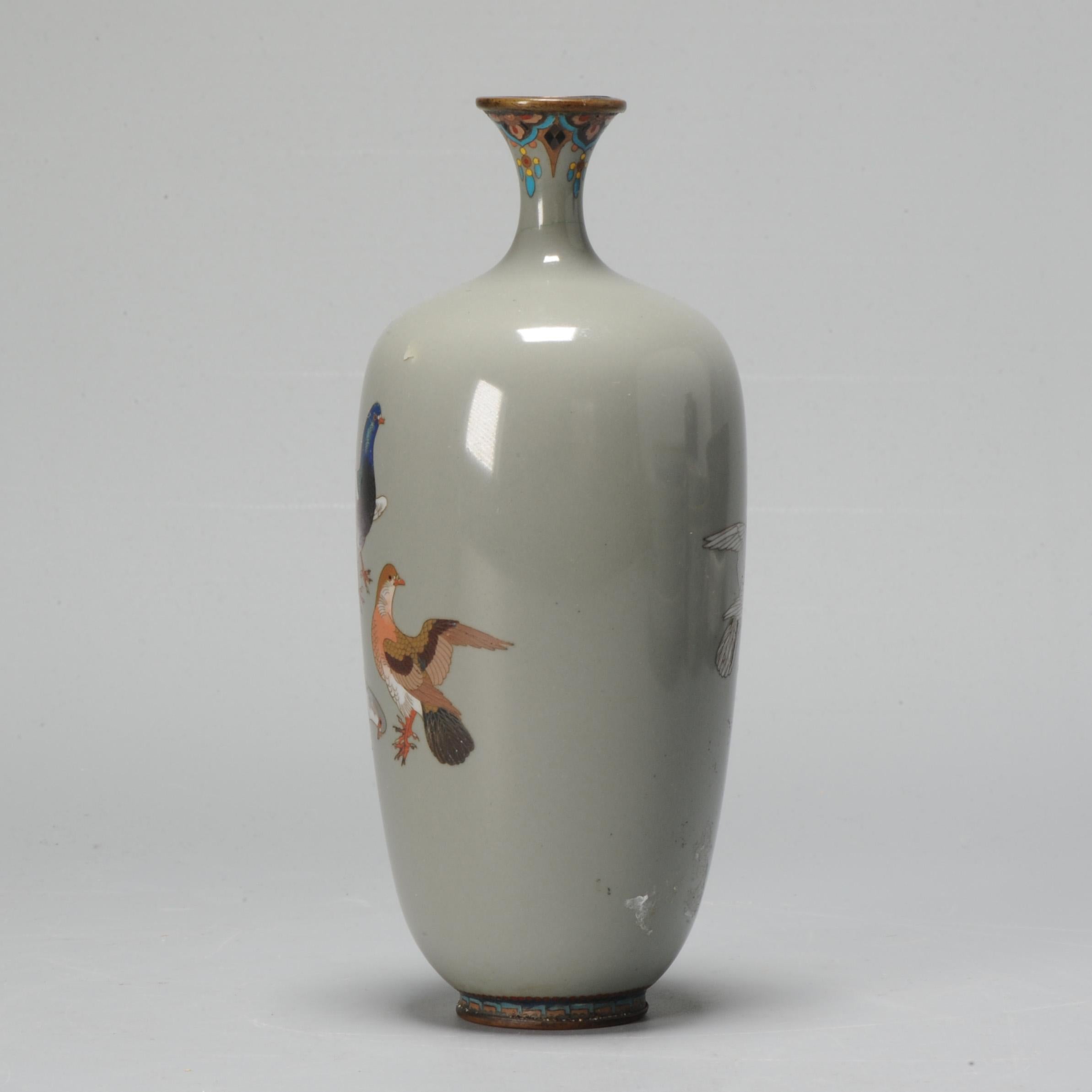 Qing Small Vase with Birds Dove Pigeon Cloisonné Enamel Meiji Period '1868-1912' For Sale
