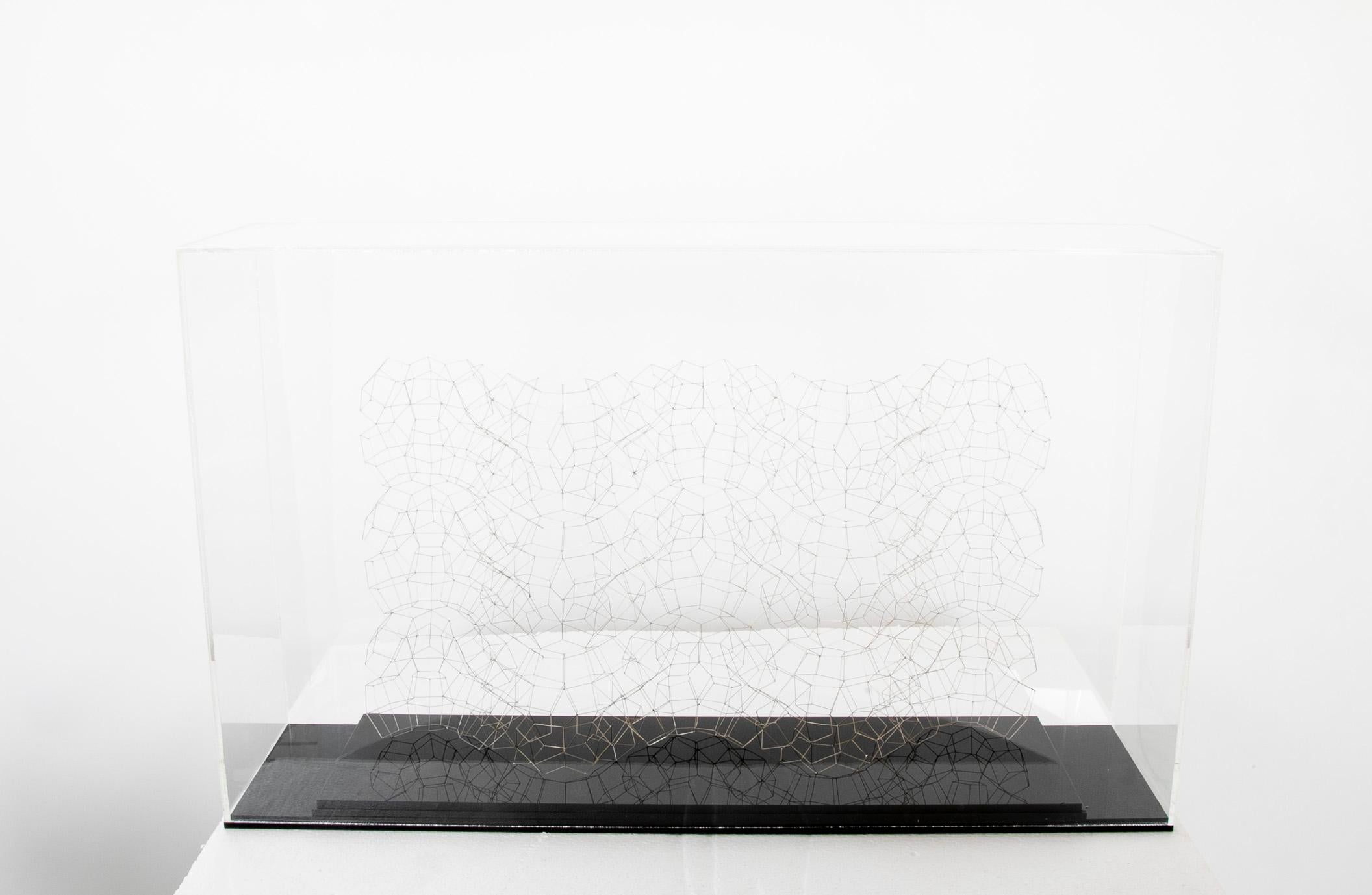 A soldered wire sculpture under plexiglass vitrine by American sculptor Marilynn Gelfman-Karp.
Signed and dated. 
Sculpture size - 15