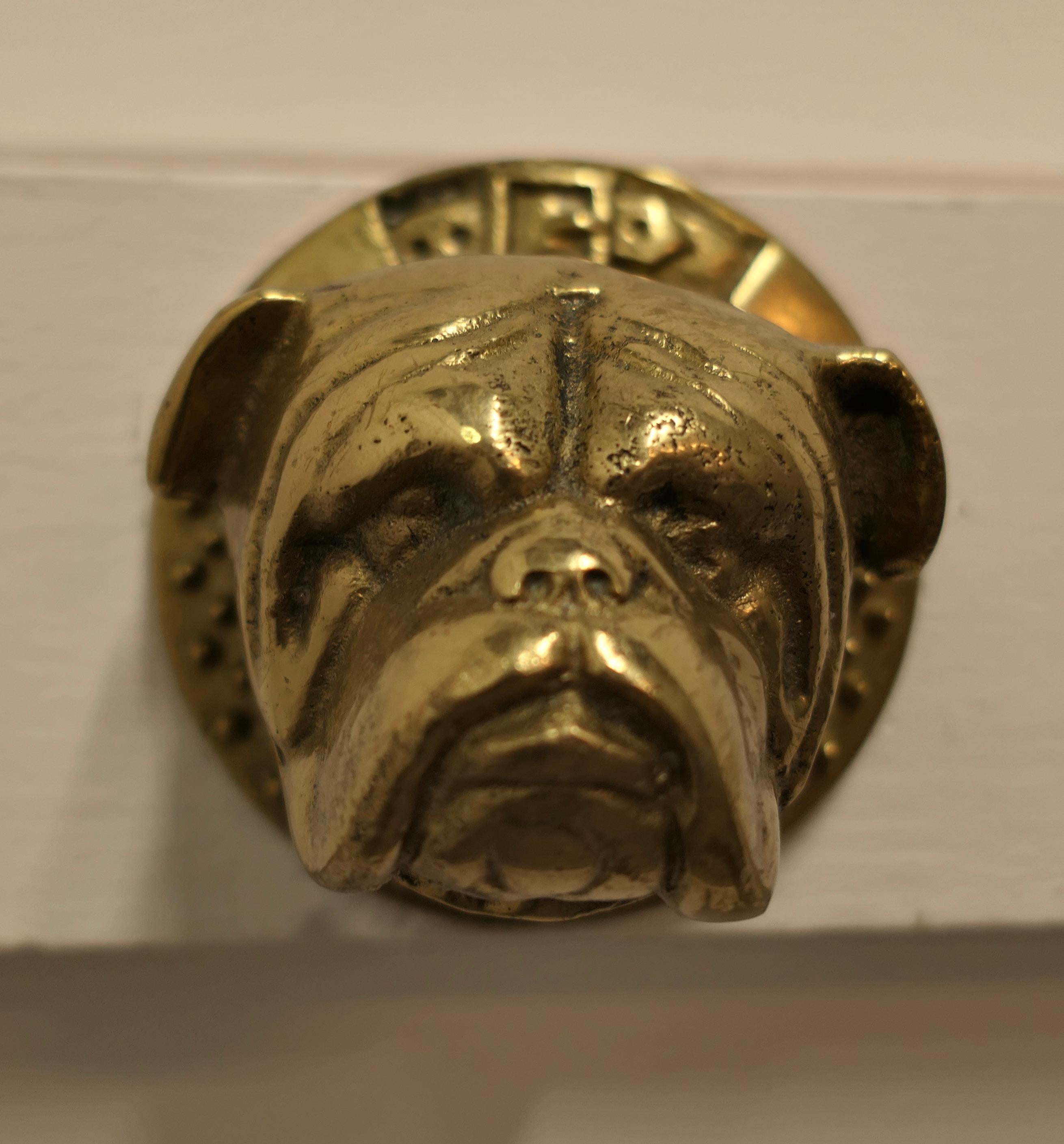 A Solid Brass Bull Dog Door Knocker,

This is a superb door knocker, the well sculpted head of the dog sits on his collar which forms the striking plate 
The door knocker is in good used condition it measures 4” in diameter and 3” deep
TGF126
