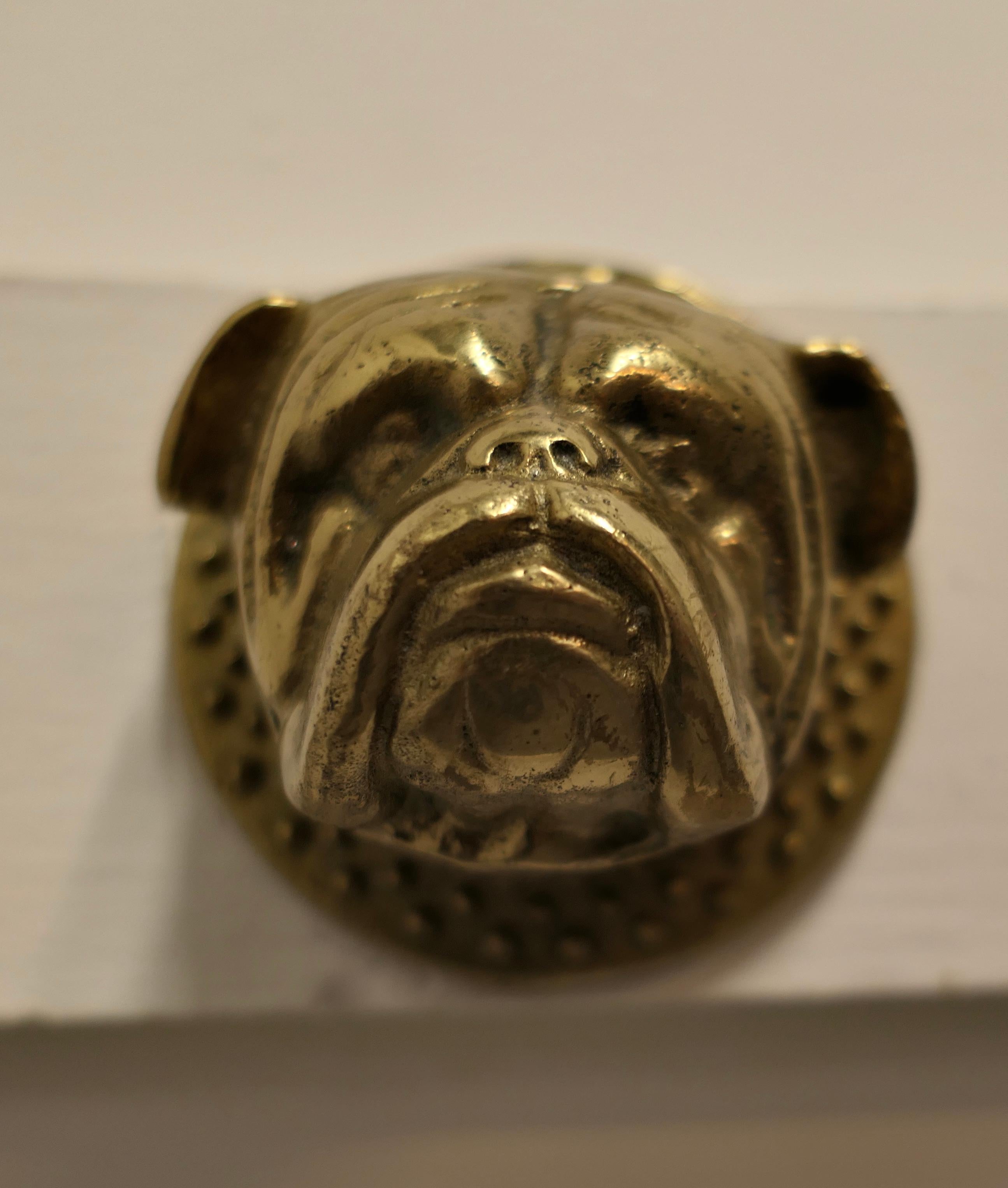 20th Century A Solid Brass Bull Dog Door Knocker,  