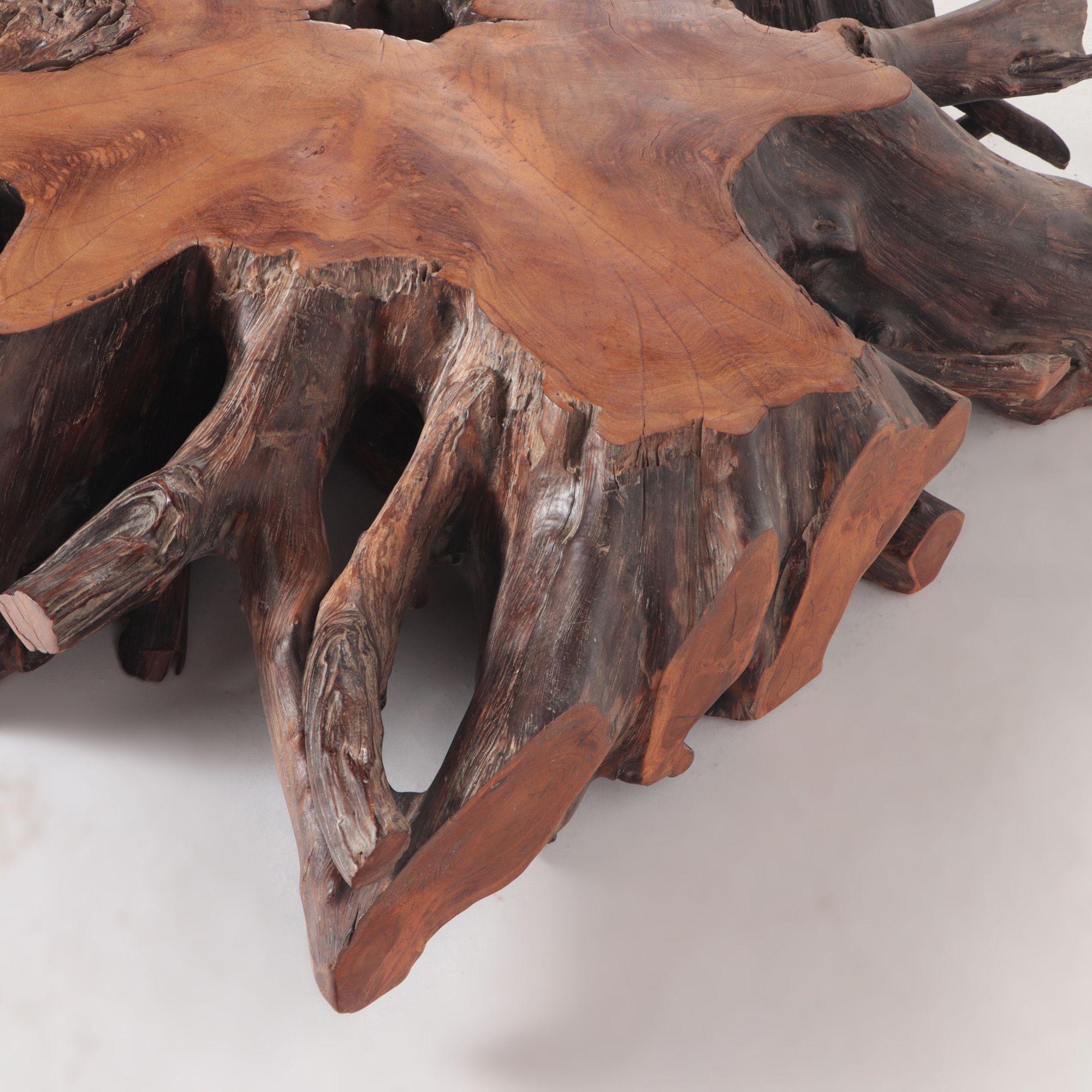 Solid Tree Slab Root Coffee Table, Burnt Wood Finish, Contemporary 1