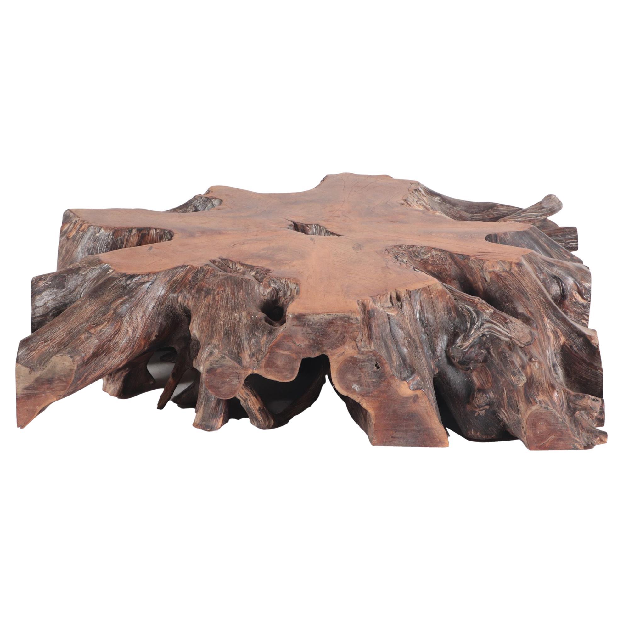 Solid Tree Slab Root Coffee Table, Burnt Wood Finish, Contemporary