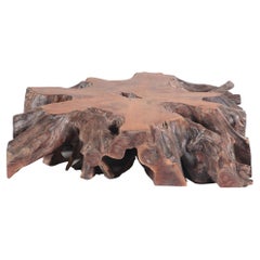 Solid Tree Slab Root Coffee Table, Burnt Wood Finish, Contemporary