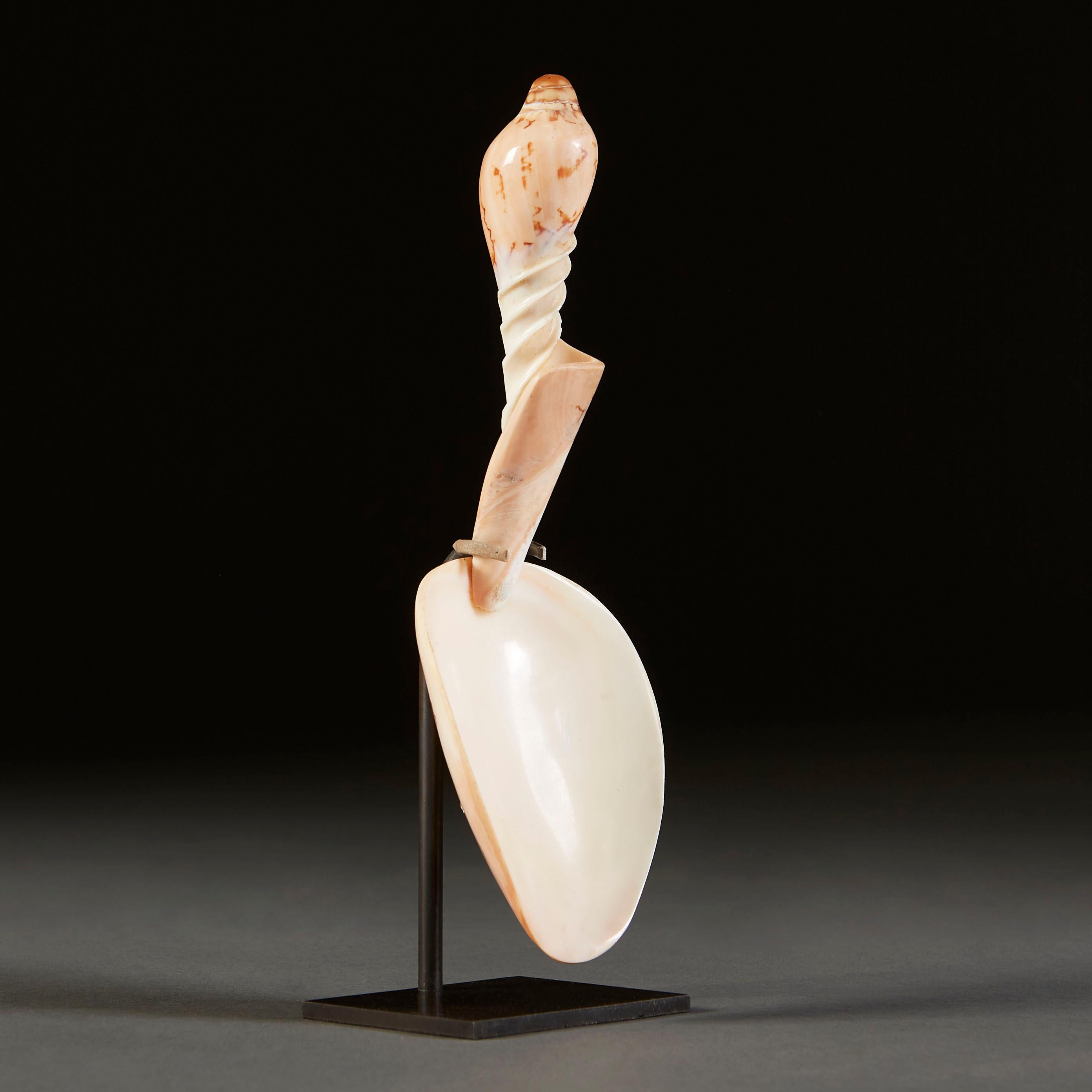 South Seas Shell Spoon In Good Condition For Sale In London, GB