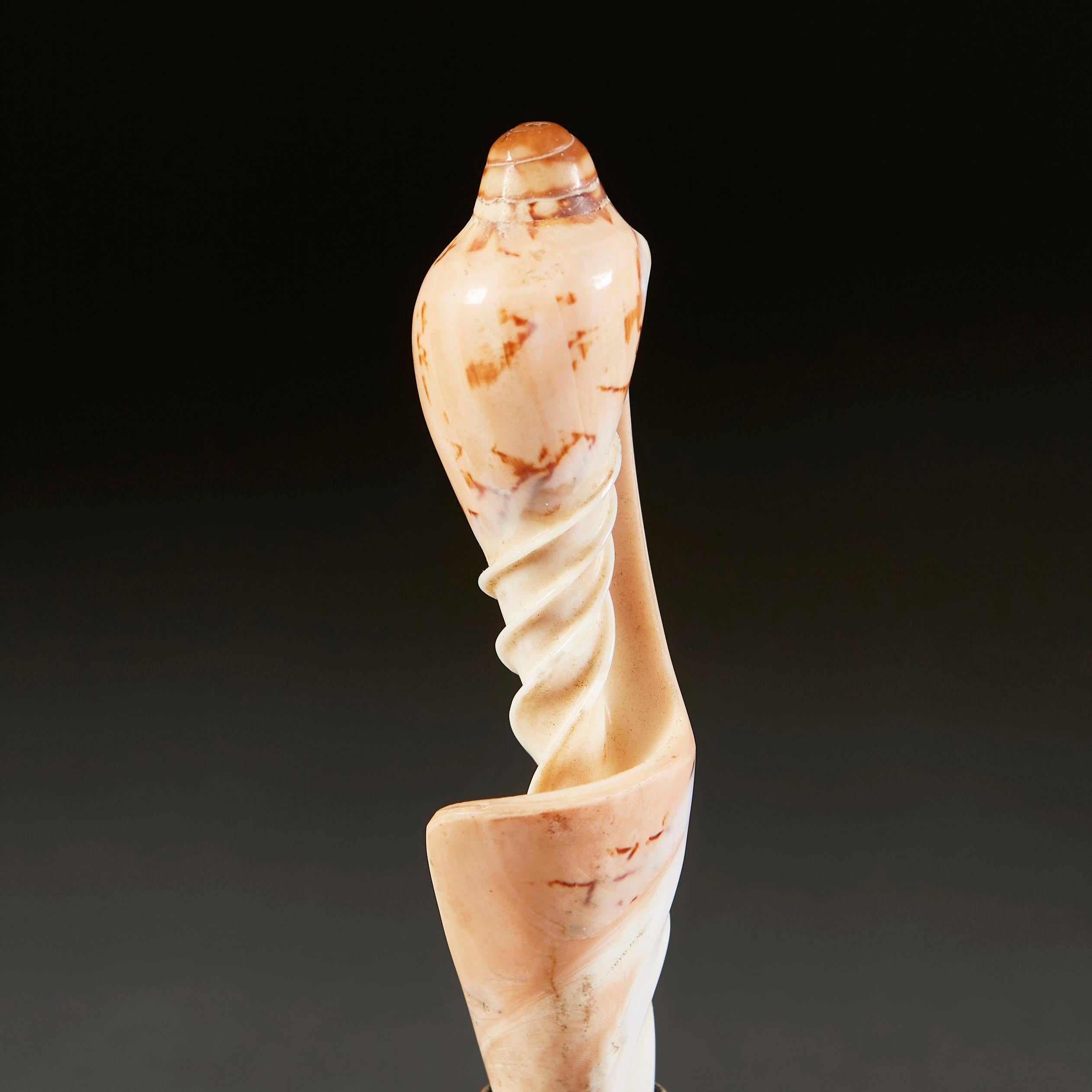 Early 20th Century South Seas Shell Spoon For Sale