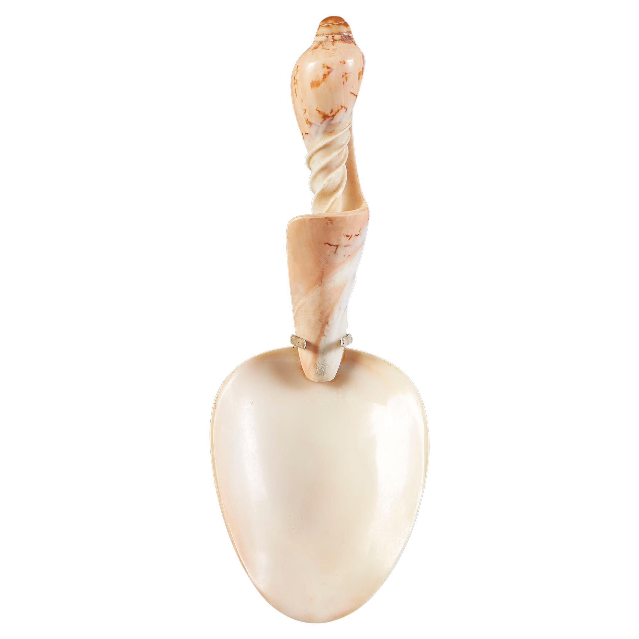 South Seas Shell Spoon For Sale