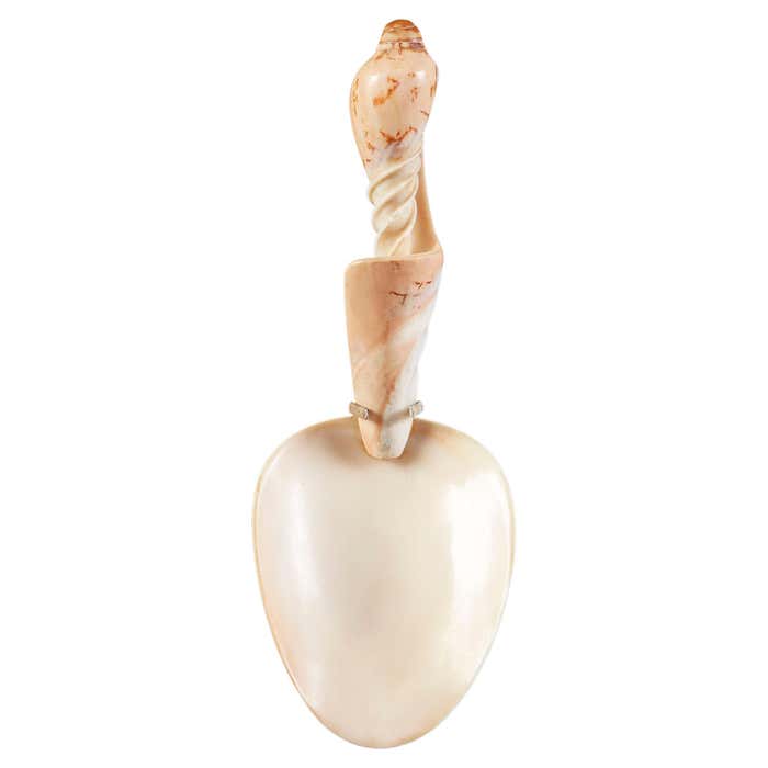 South Seas Shell Spoon For Sale at 1stDibs