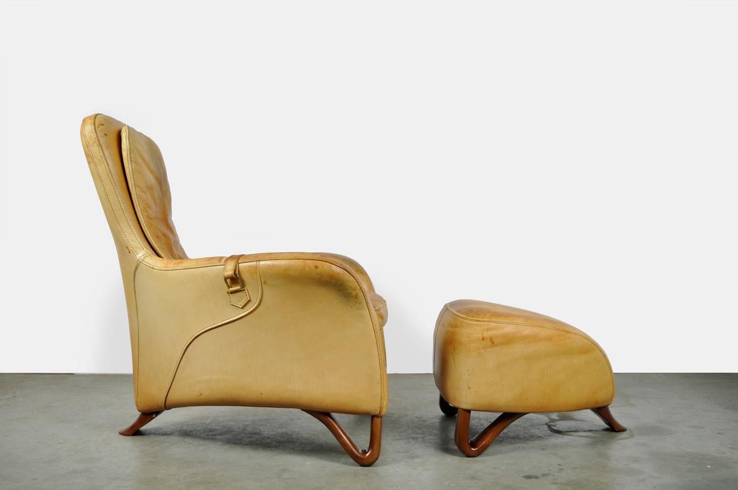 Special Pair of Sculptural Lounge Armchairs with Footstool, 20th Century 1
