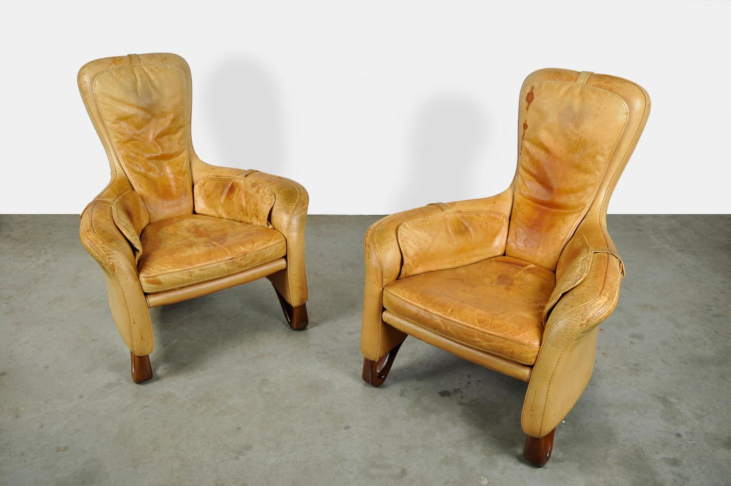 Special Pair of Sculptural Lounge Armchairs with Footstool, 20th Century 3