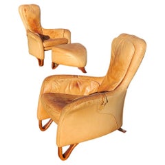 Vintage Special Pair of Sculptural Lounge Armchairs with Footstool, 20th Century