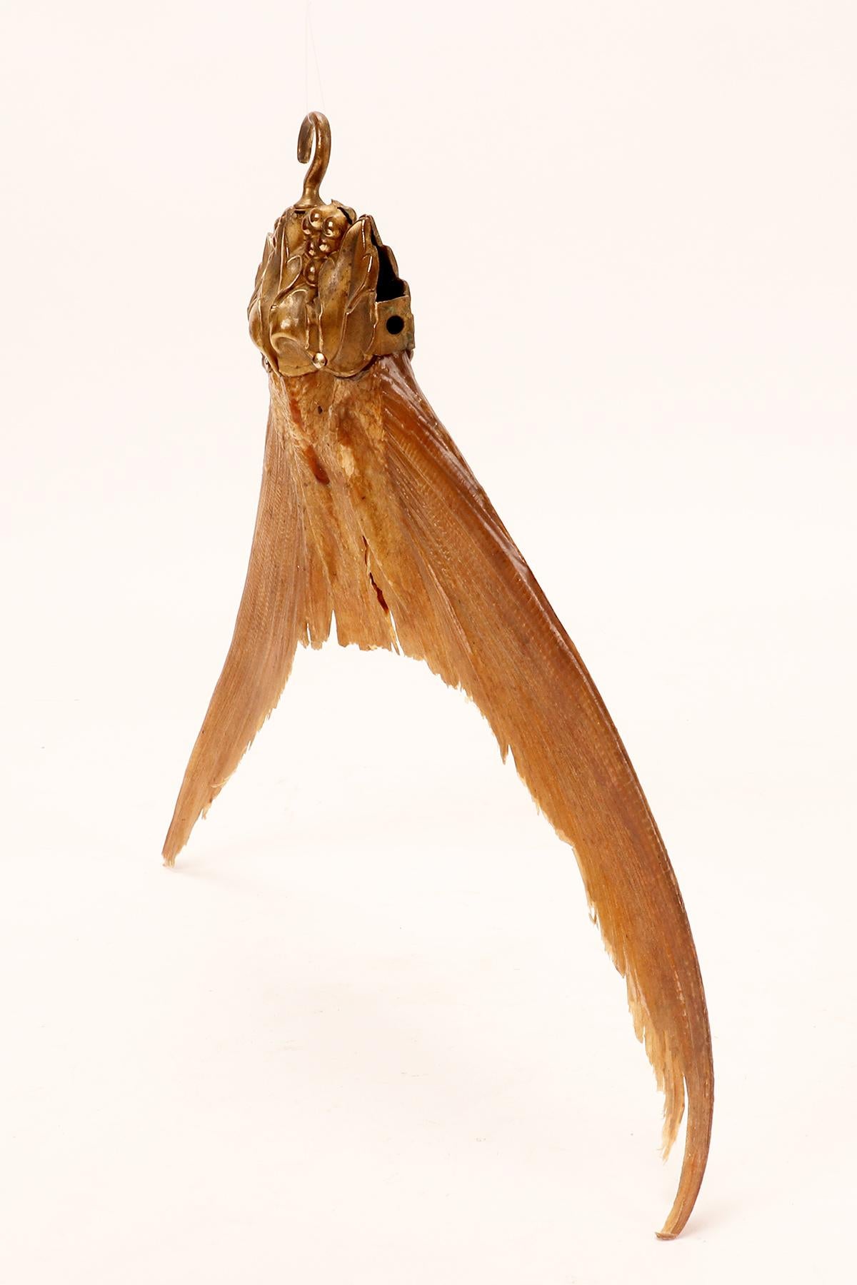 A specimen from Wunderkammer: the tail of a barracuda fish. Italy 1870.  In Good Condition For Sale In Milan, IT