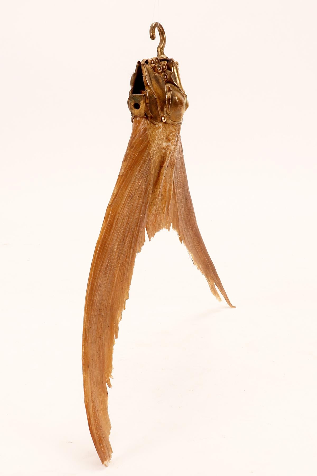 A specimen from Wunderkammer: the tail of a barracuda fish. Italy 1870.  For Sale 1