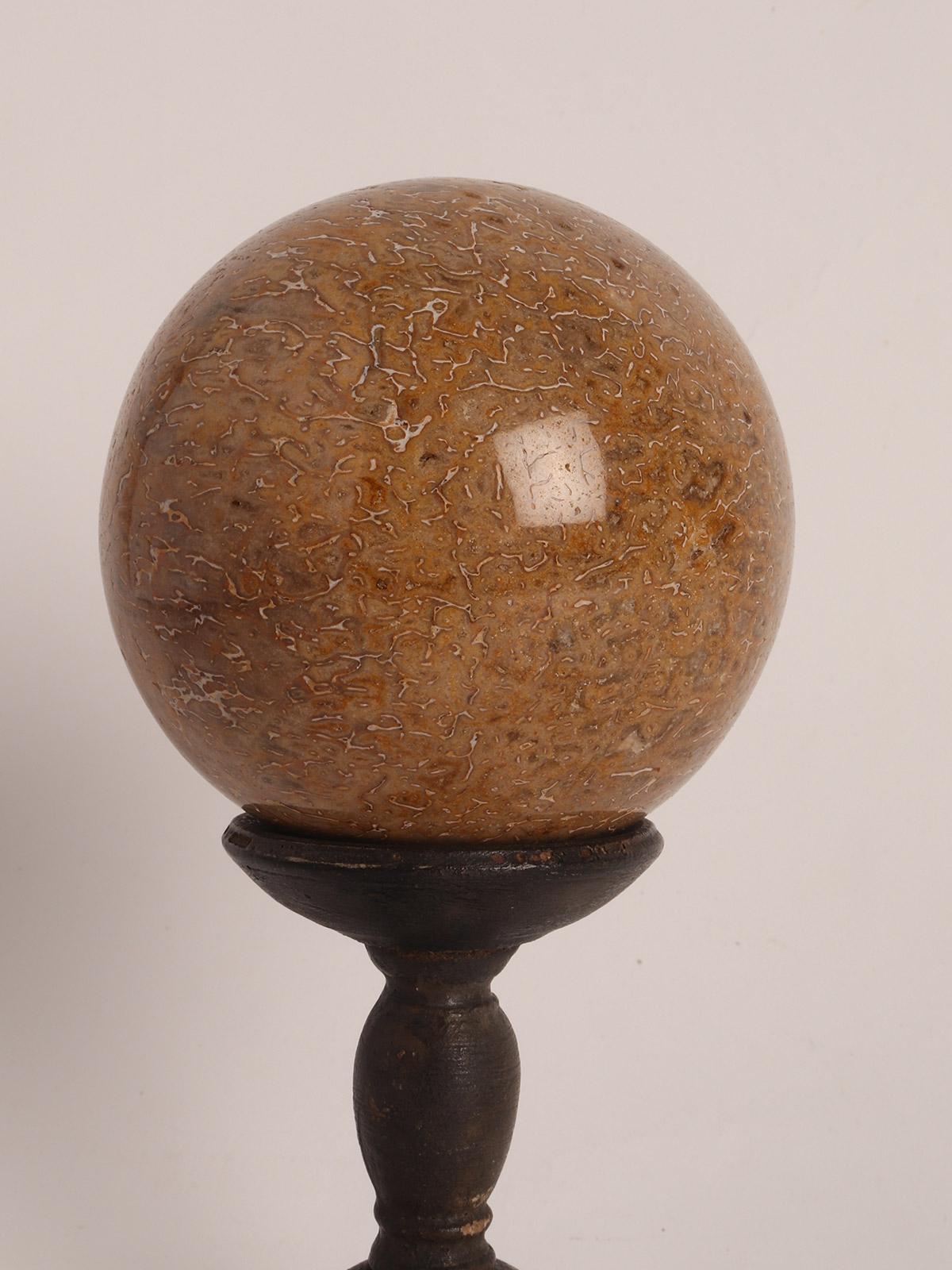 A sphere of dinosaur fossil, Plodoco bone, resting on a base, made out of ebonized wood that has a column with a wavy profile that opens upwards with a concave top. Italy circa 1870.