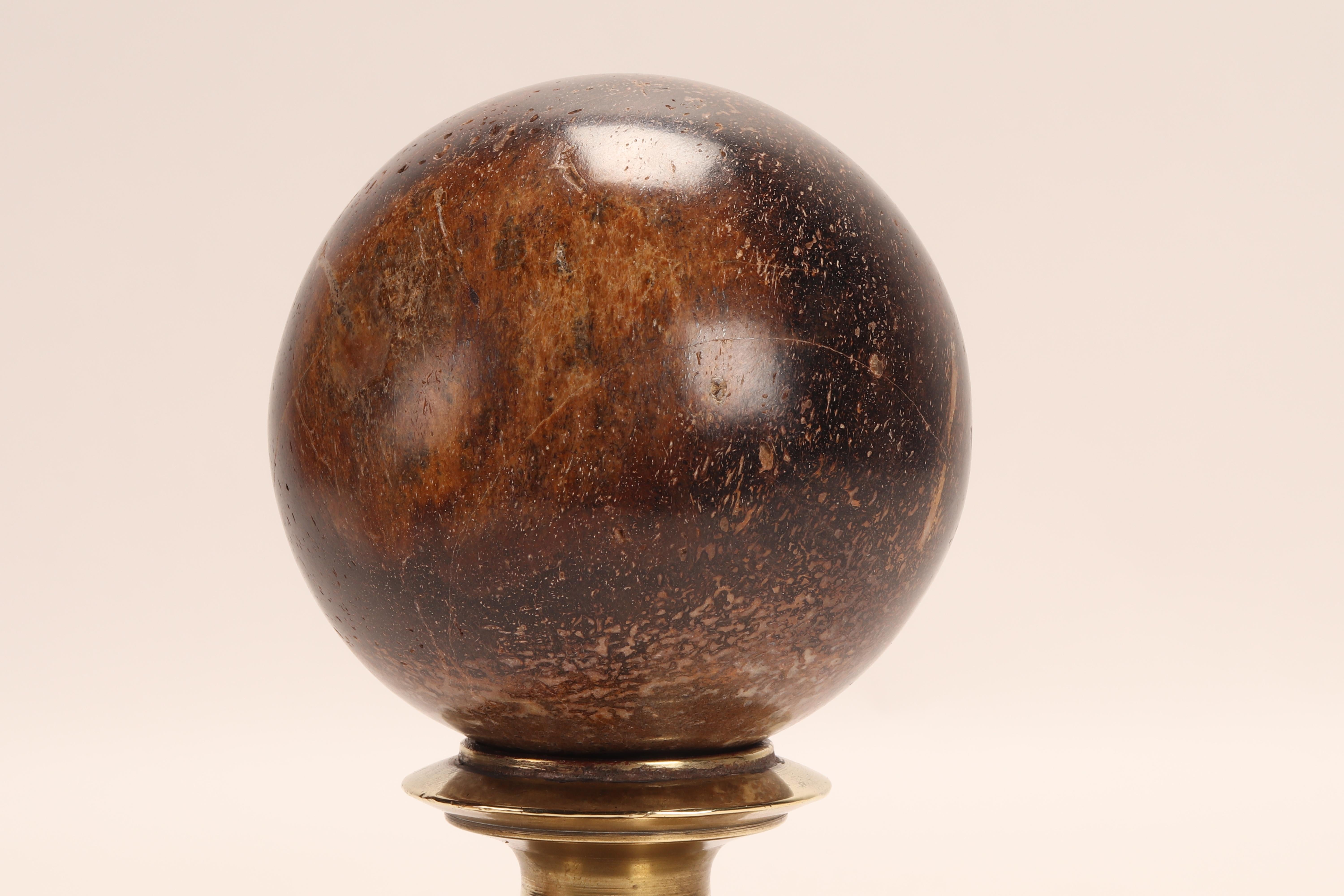 Sphere of Dinosaur Fossil, Italy, 1870 In Good Condition In Milan, IT