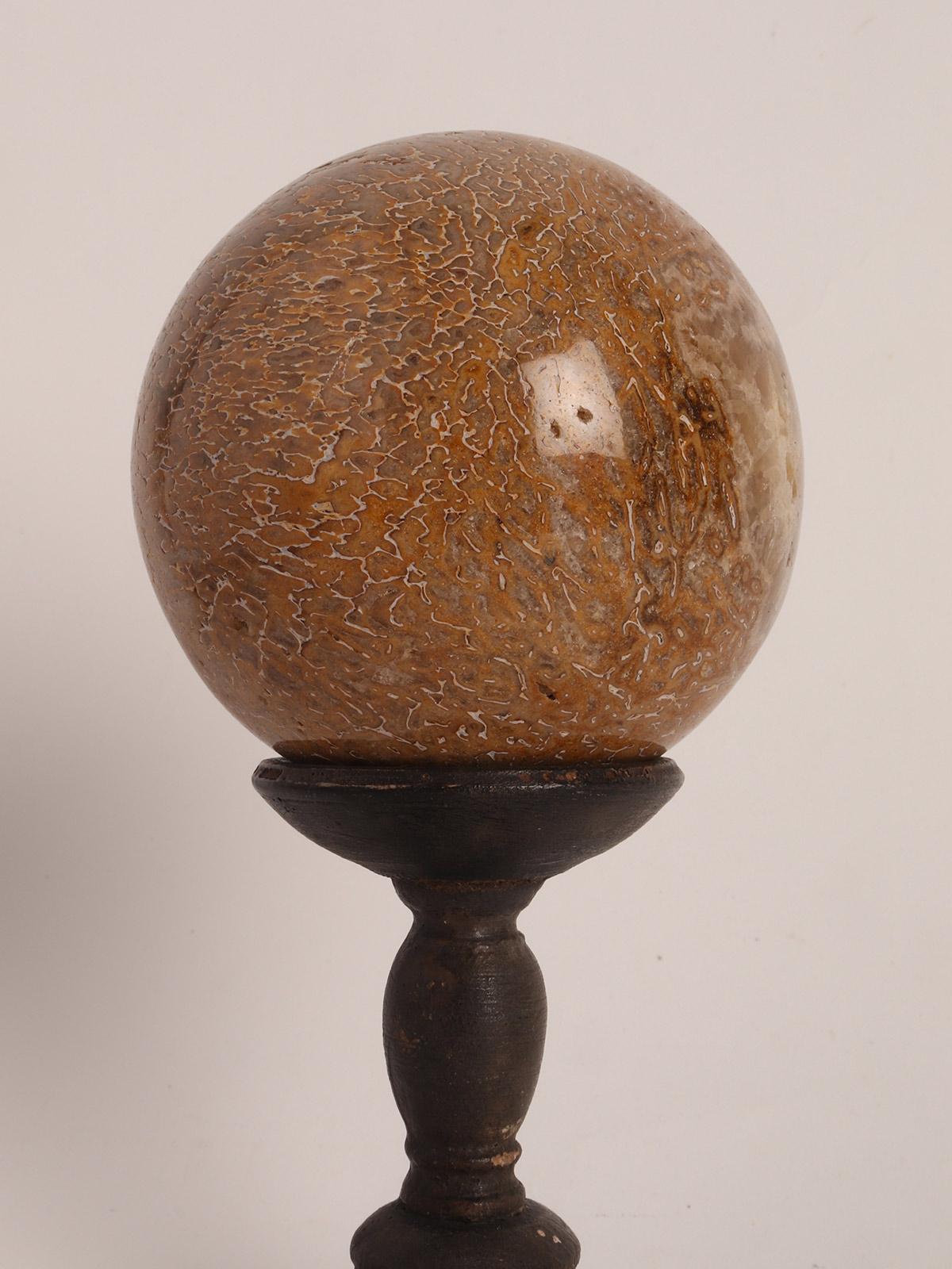 Sphere of Dinosaur Fossil, Italy 1870 In Good Condition In Milan, IT