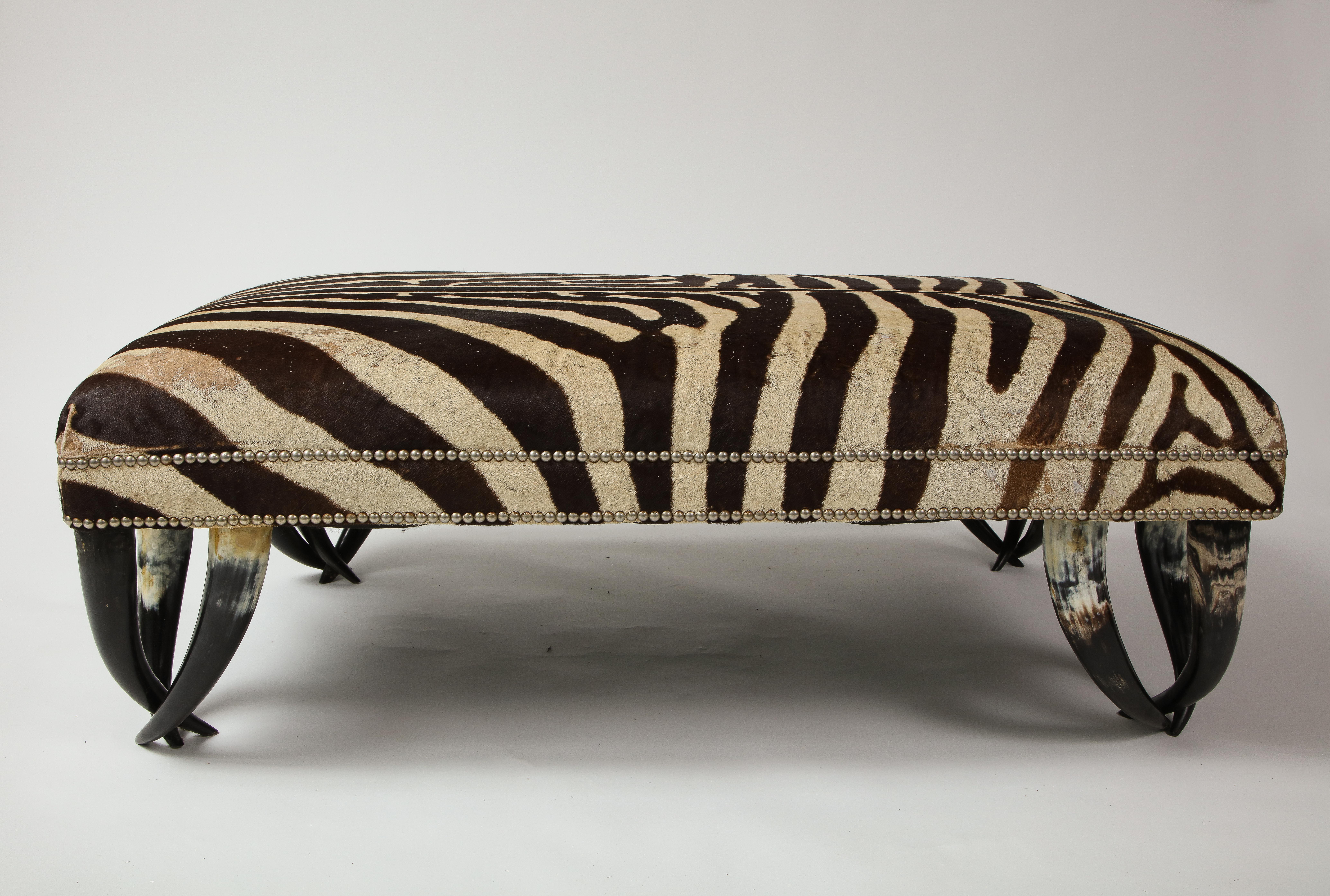 The rectangular seat covered in an antique zebra hide with two rows of silver nailheads; raised on steer horns.