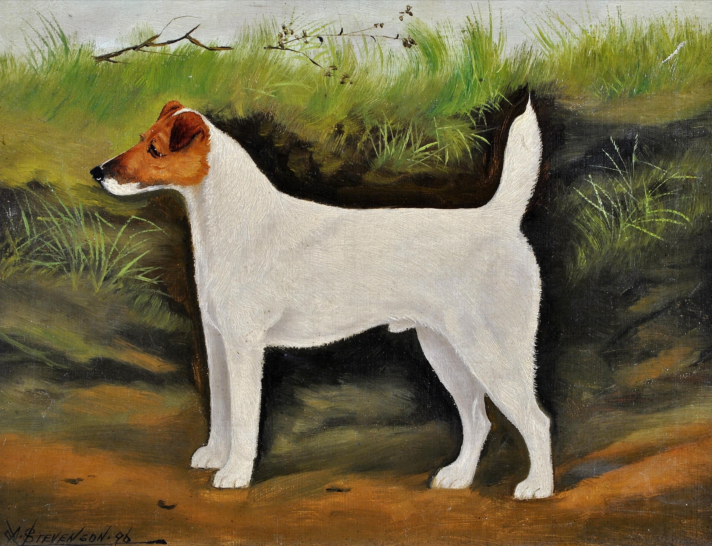 Terrier in un paesaggio - Olio su tela del XIX secolo Pittura di cani antichi - Painting di A. Stevenson