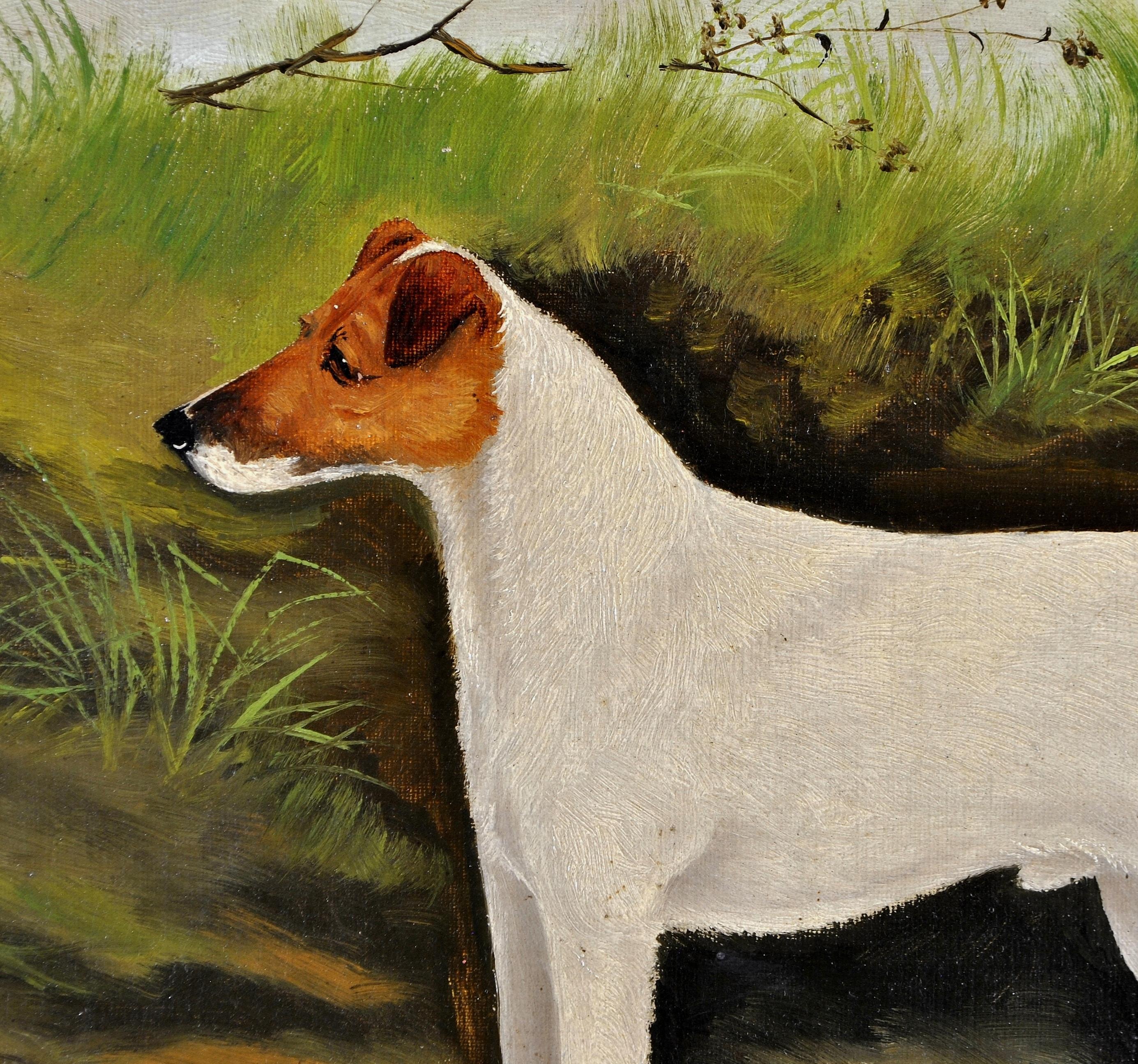 Un bellissimo ritratto ad olio su tela firmato e datato 1896 di un terrier bianco in un paesaggio, opera di A. Stevenson. 

Esempio di eccellente qualità e condizione dell'opera di questo abile pittore di cani e occasionalmente di cavalli, attivo