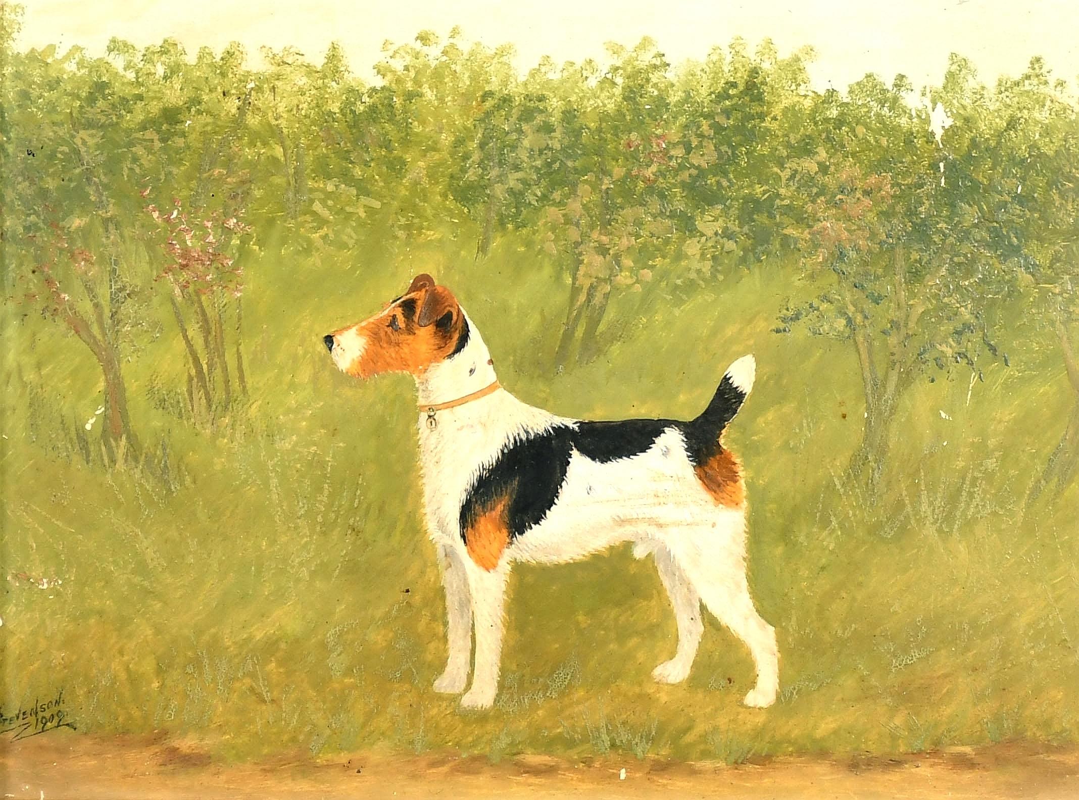 Terrier dans un paysage - Peinture à l'huile sur panneau ancienne d'un chien du début du 20e siècle - Painting de A. Stevenson