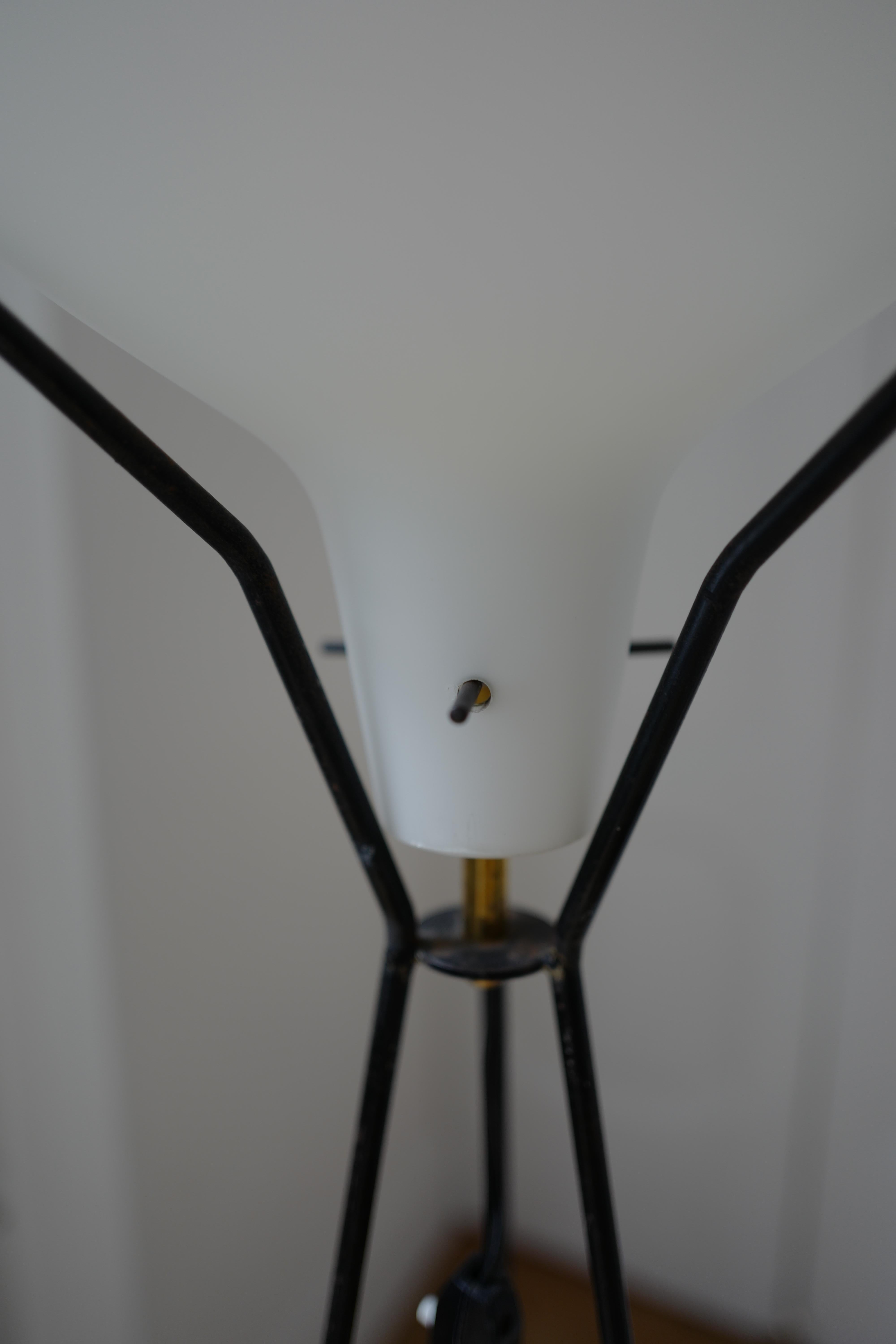 Mid Century Stilnovo Style Stehlampe Schwarz Metall Tripod Base Milchglas (19. Jahrhundert) im Angebot