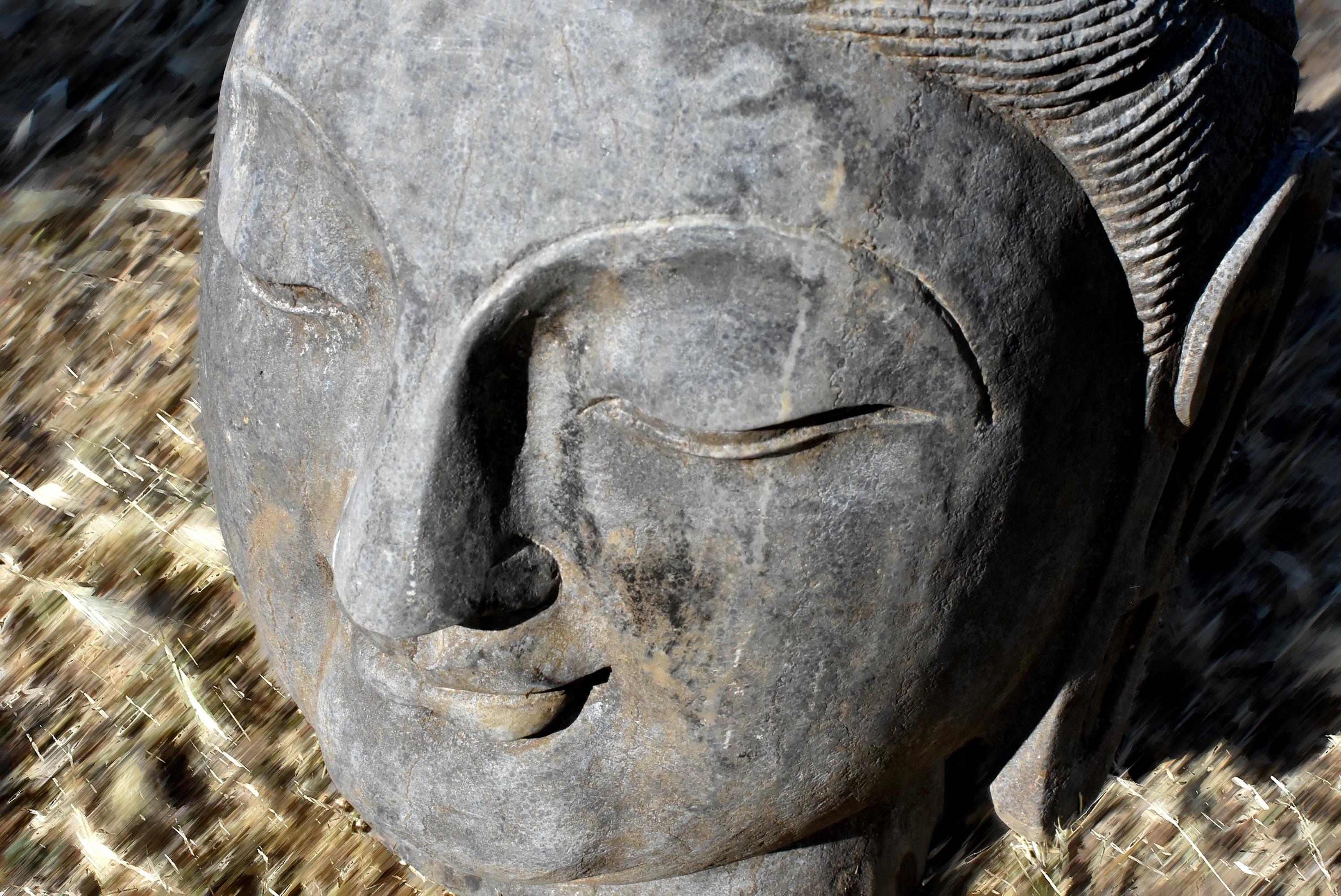 A large, solid stone, hand carved head of Buddha in Tang dynasty style. The round, broad face has a peaceful, smiling expression, the slender downcast eyes beneath high arched thin brows above pursed full lips, all flanked by long pendulous earlobes