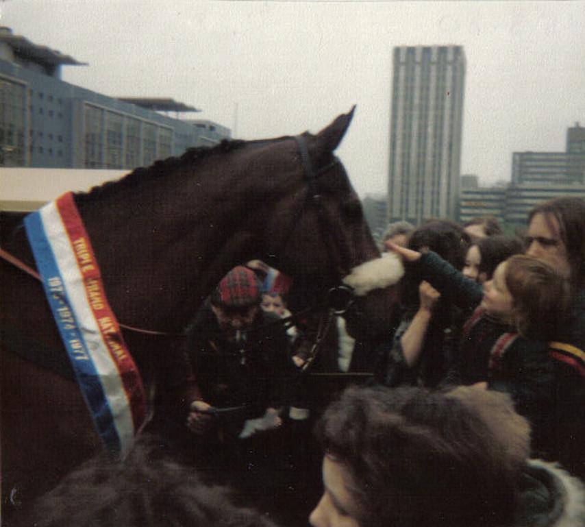 Red Rum became a household name as the only horse to ever win the Grand National three times. He won the race in 1973, 1974 and 1977 and today remains the most famous steeplechaser of all time.

This single half-inch strand of Red Rum's hair comes