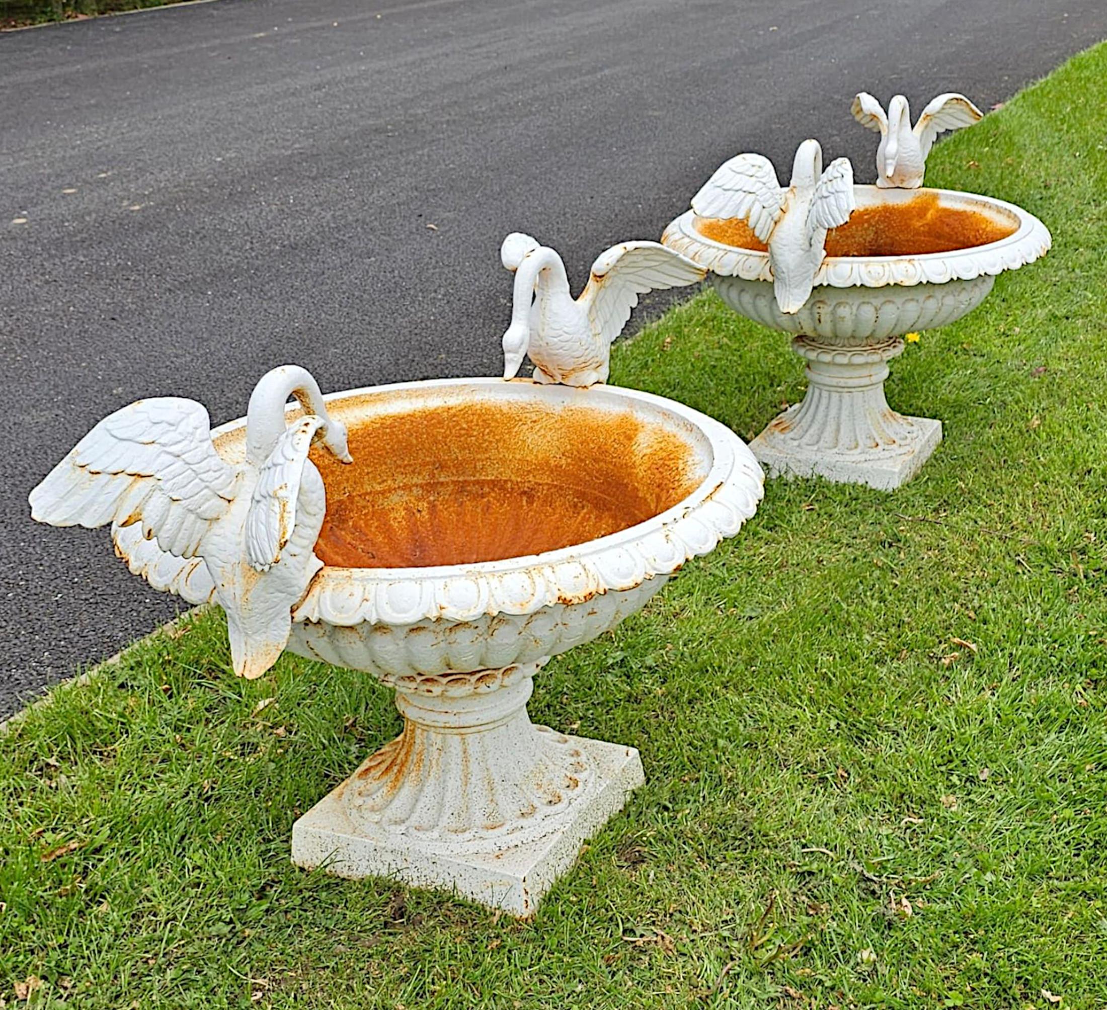 English A Stunning 20th Century Pair of Large Cast Iron Urns with Swan Detail 