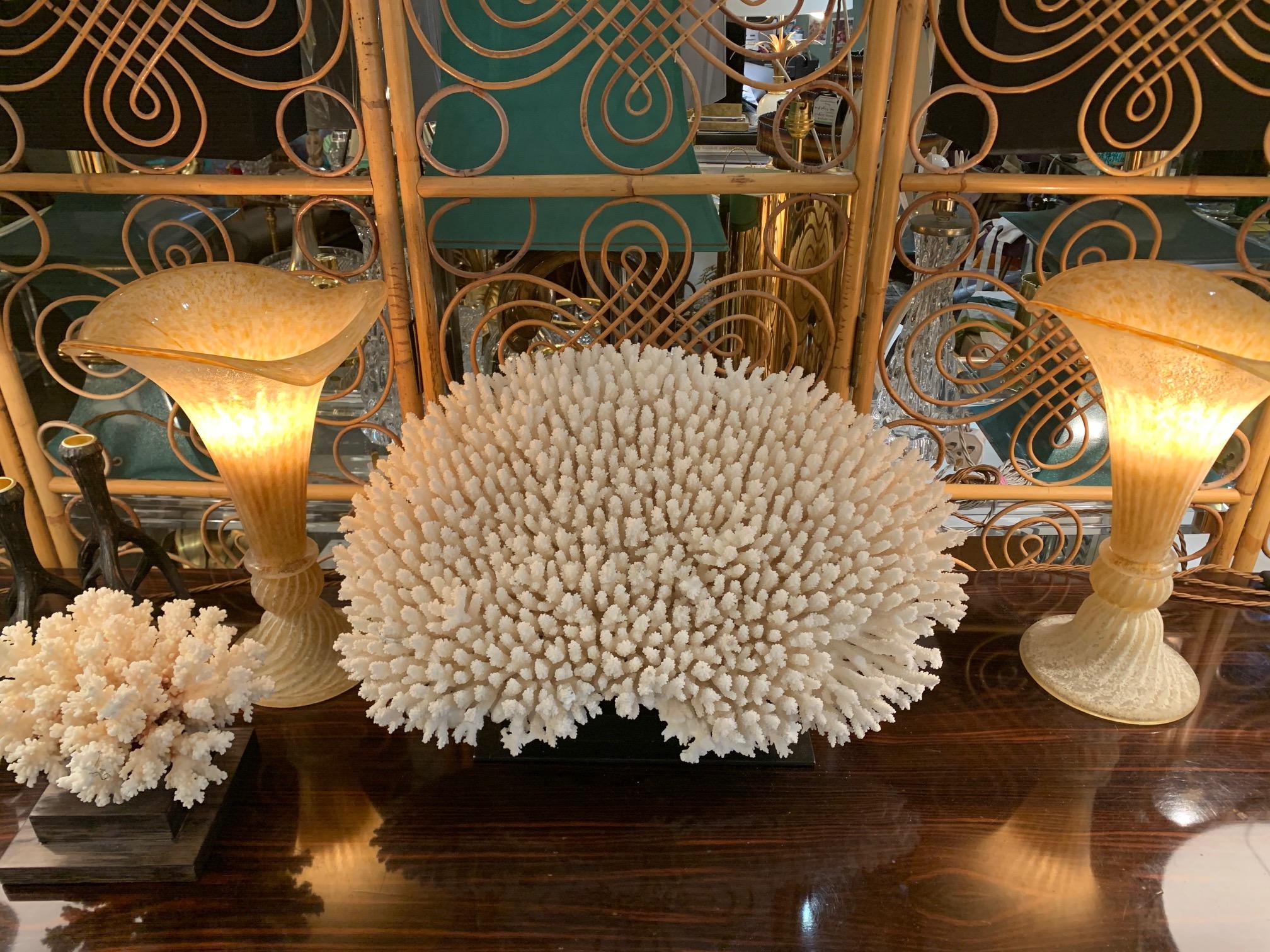 Stunning Large Antique Brush Coral Specimen Mounted on a Black Museum Stand 7