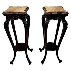 A Stunning Pair of 19th Century Alabaster Top Plant or Bust Stands
