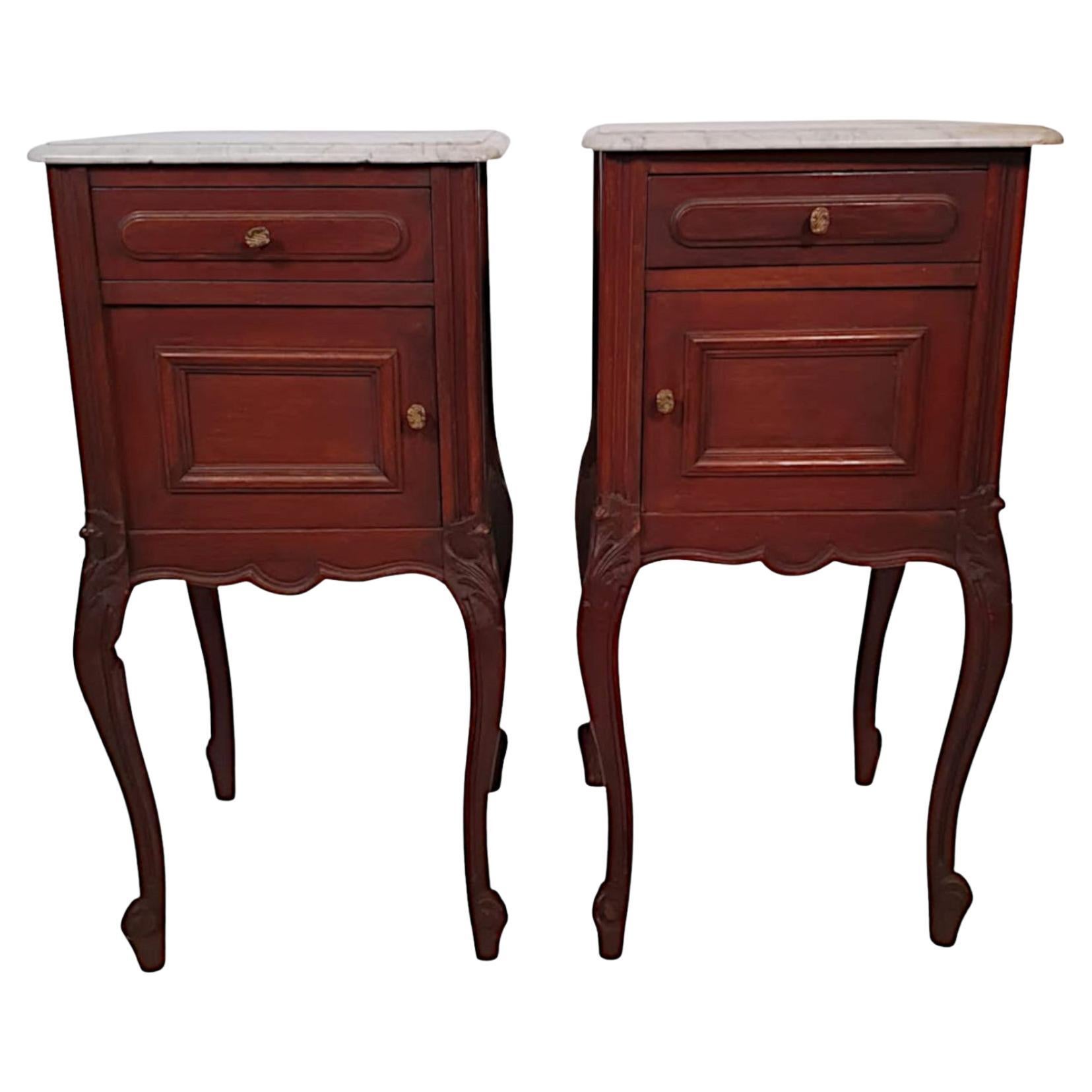 A Stunning Pair of 19th Century French Marble Top Bedside Lockers For Sale