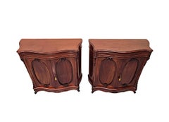 A Stunning Pair of 19th Century Two Door Side Cabinets