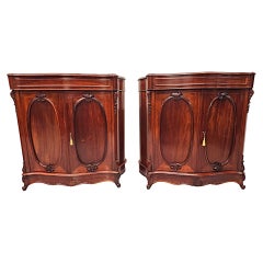A Stunning Pair of 19th Century Two Door Side Cabinets