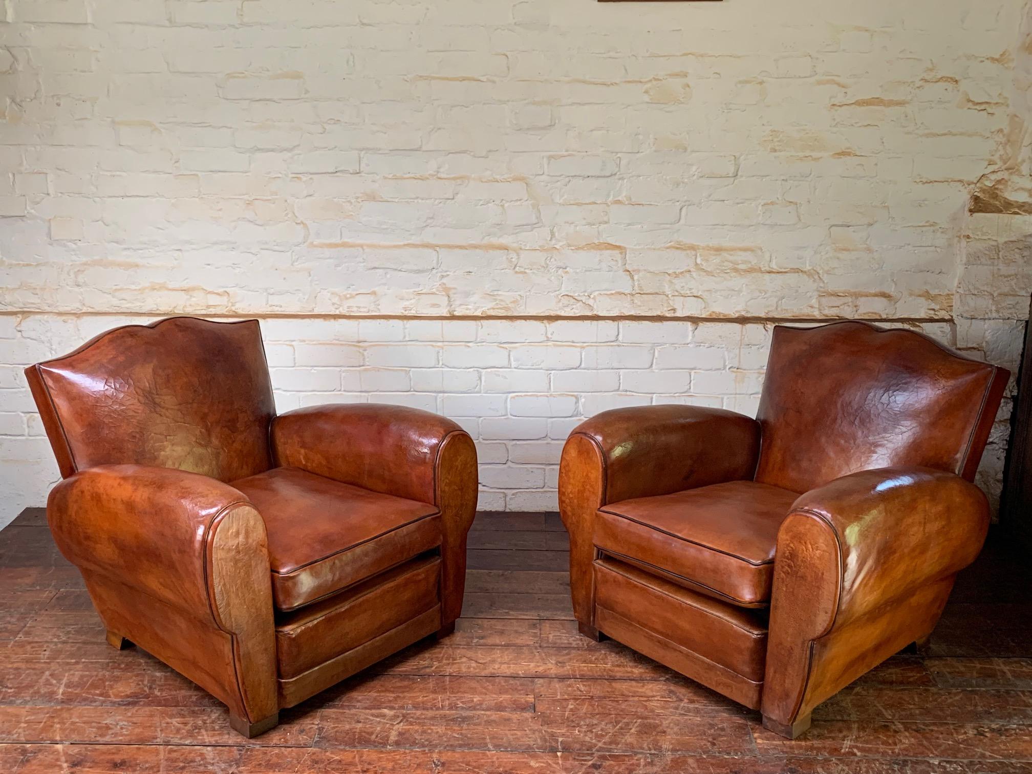 A Stunning Pair of French Leather Club Chairs, Havana Moustache Models, C1930's 13