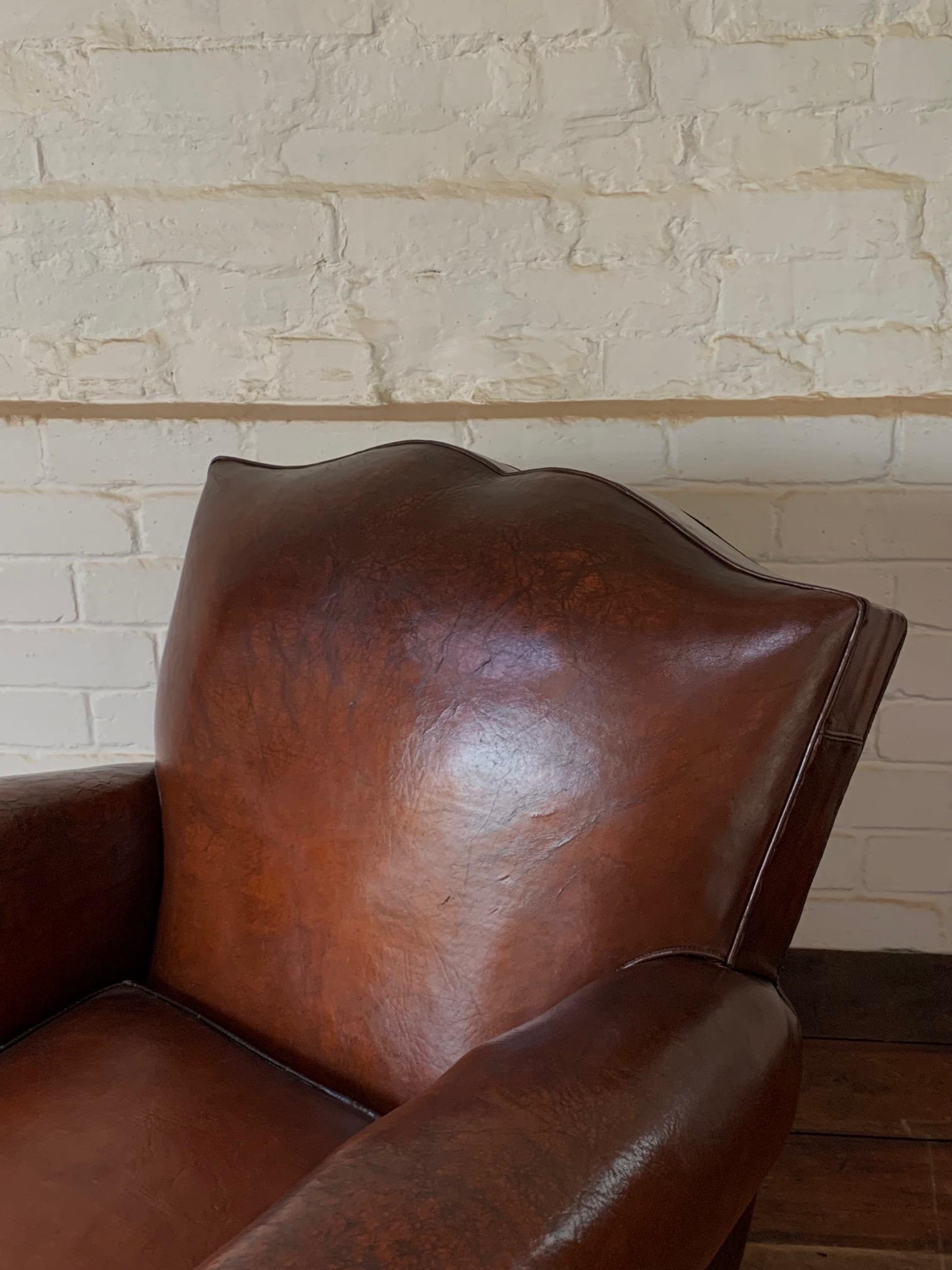 A Superb French, Leather Club Chair, Havana Moustache Model Circa 1950's For Sale 5
