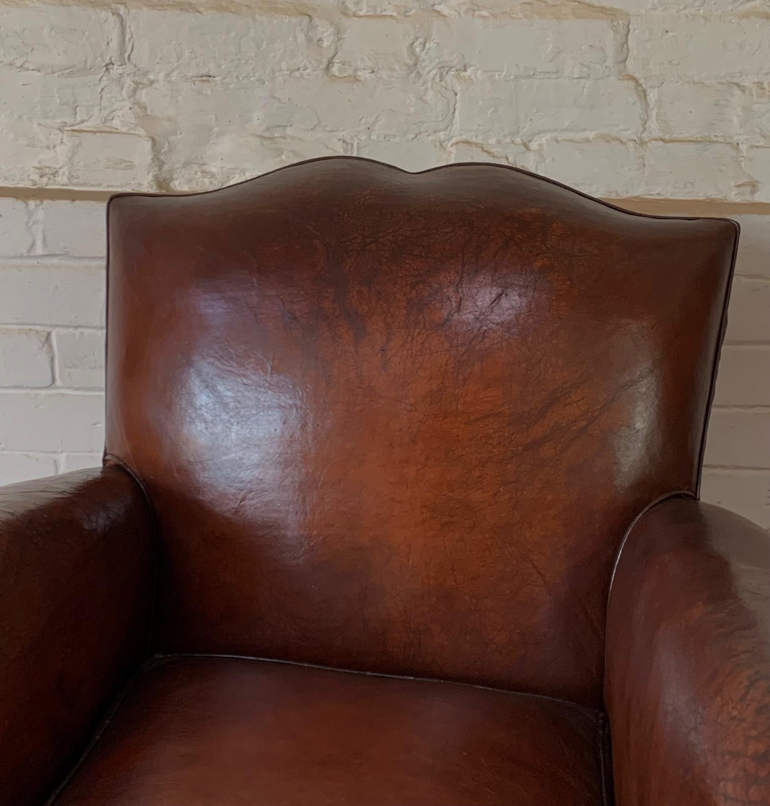 20th Century A Superb French, Leather Club Chair, Havana Moustache Model Circa 1950's For Sale