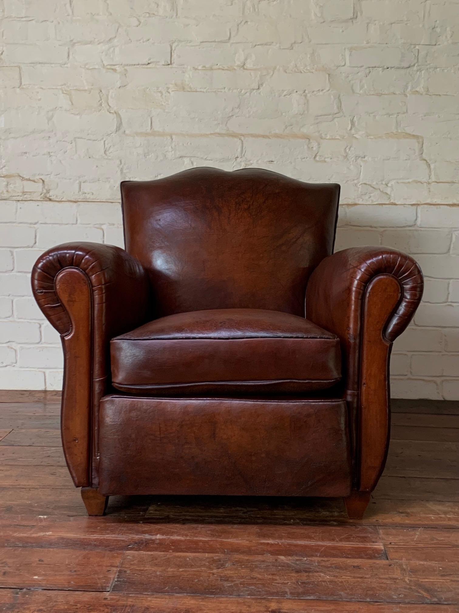 A Superb French, Leather Club Chair, Havana Moustache Model Circa 1950's For Sale 2