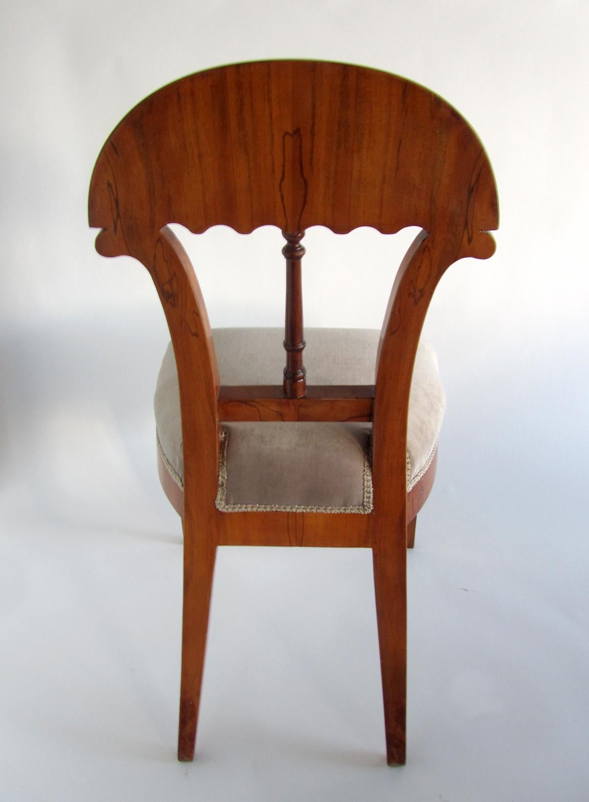 19th Century Superb Set of Ten Viennese Biedermeier Dining/ Side Chairs, Josef Danhauser For Sale