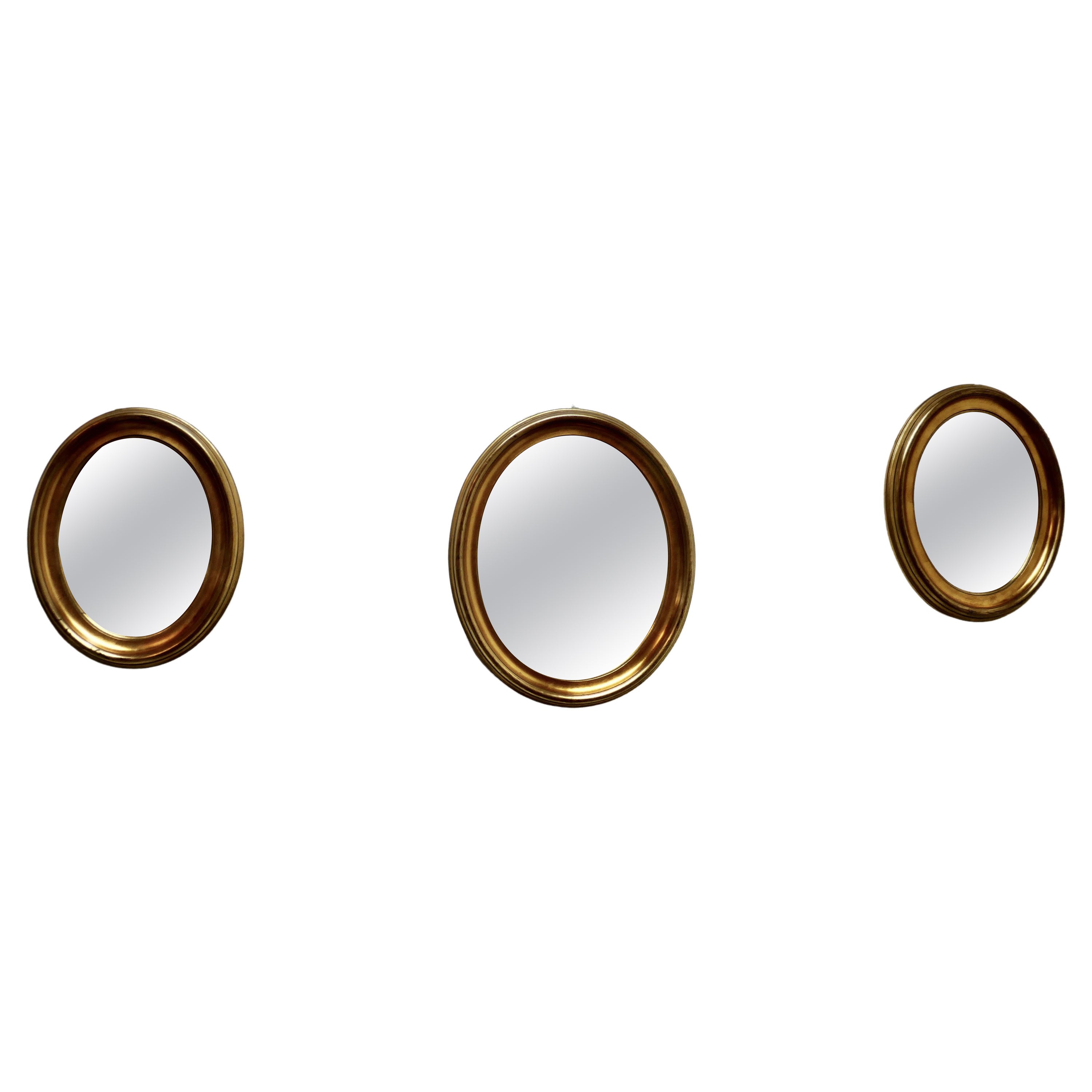 A Superb Trio of French Oval Giltwood  Mirrors