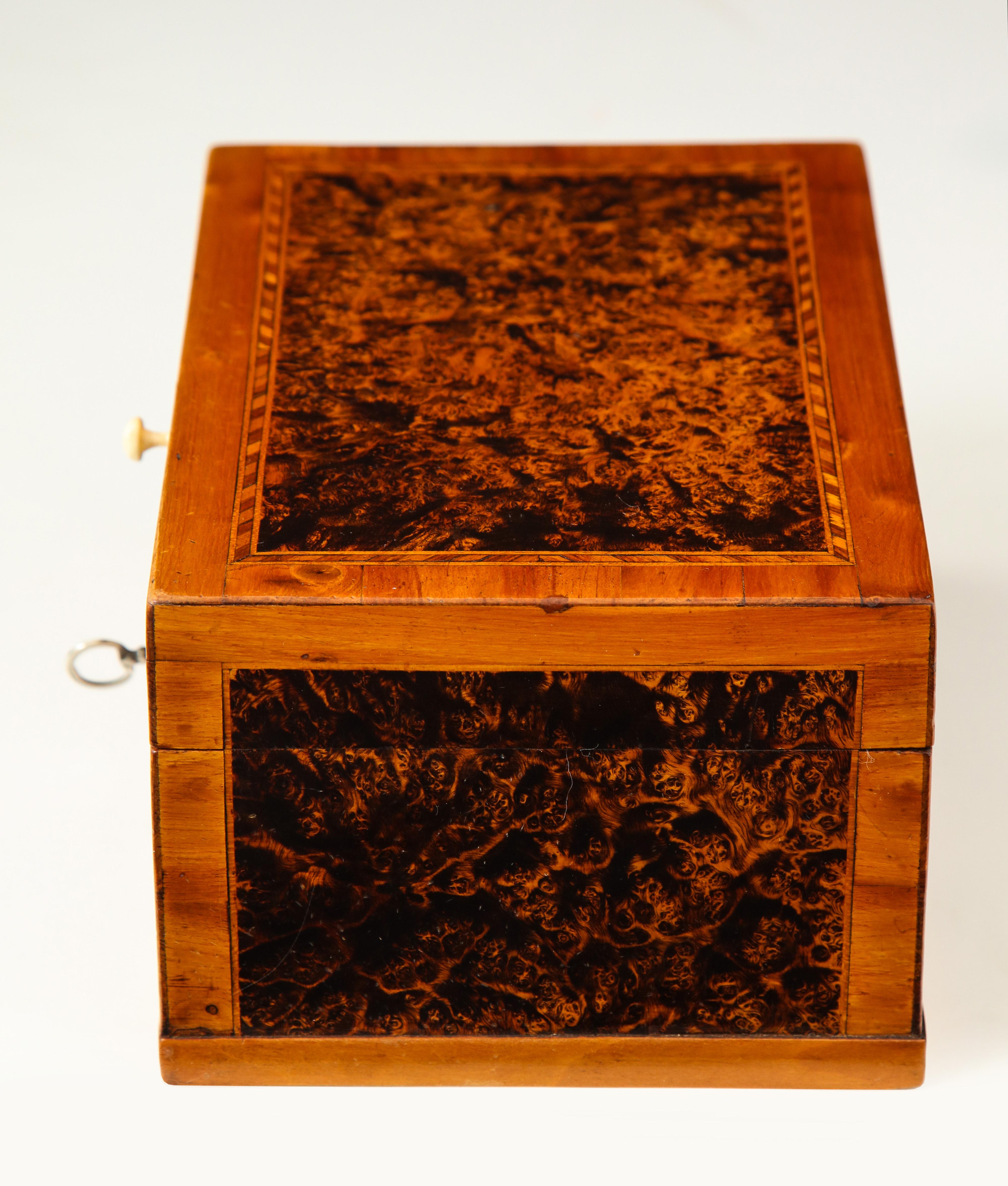 Swedish Alder Root Box, Early 19th Century (19. Jahrhundert)