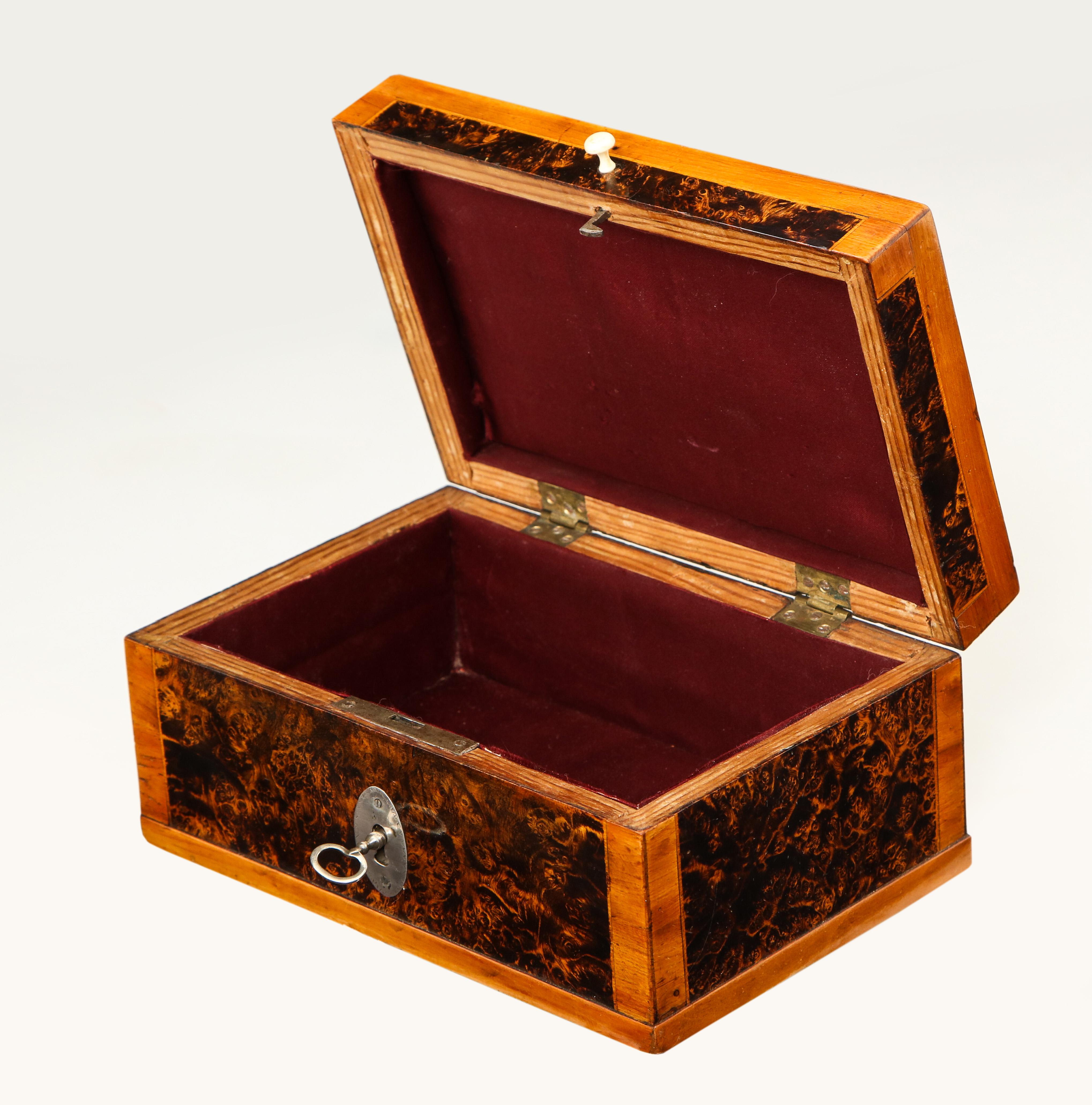 Swedish Alder Root Box, Early 19th Century 2