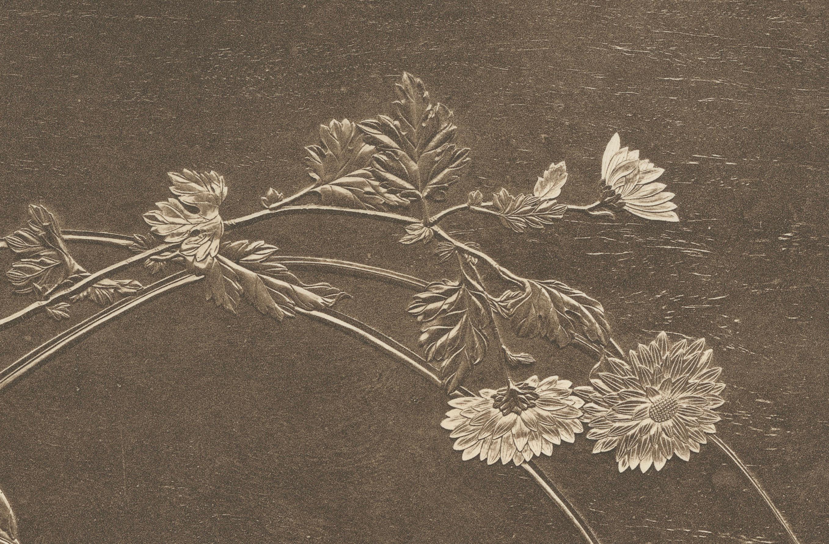 Title: A Symphony of Nature – Plate IX from G. A. Audsley’s Japanese-Inspired Decorative Series

Description: Plate IX from Section V of G. A. Audsley’s decorative collection is a stunning example of the fusion between Japanese artistic influences