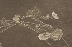 A Symphony of Nature – from Audsley’s Japanese-Inspired Decorative Series, 1884