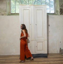 Tall French 19th Century serpentine painted Cupboard / Armoire