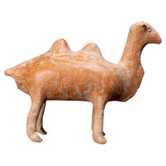 A Tang Terracotta Figure of a Bactrian Camel