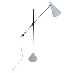 Floor Lamps