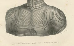 Un uomo tatuato di Nuku Hiva, Polinesia Francese, di Joseph Brodtmann, 1836
