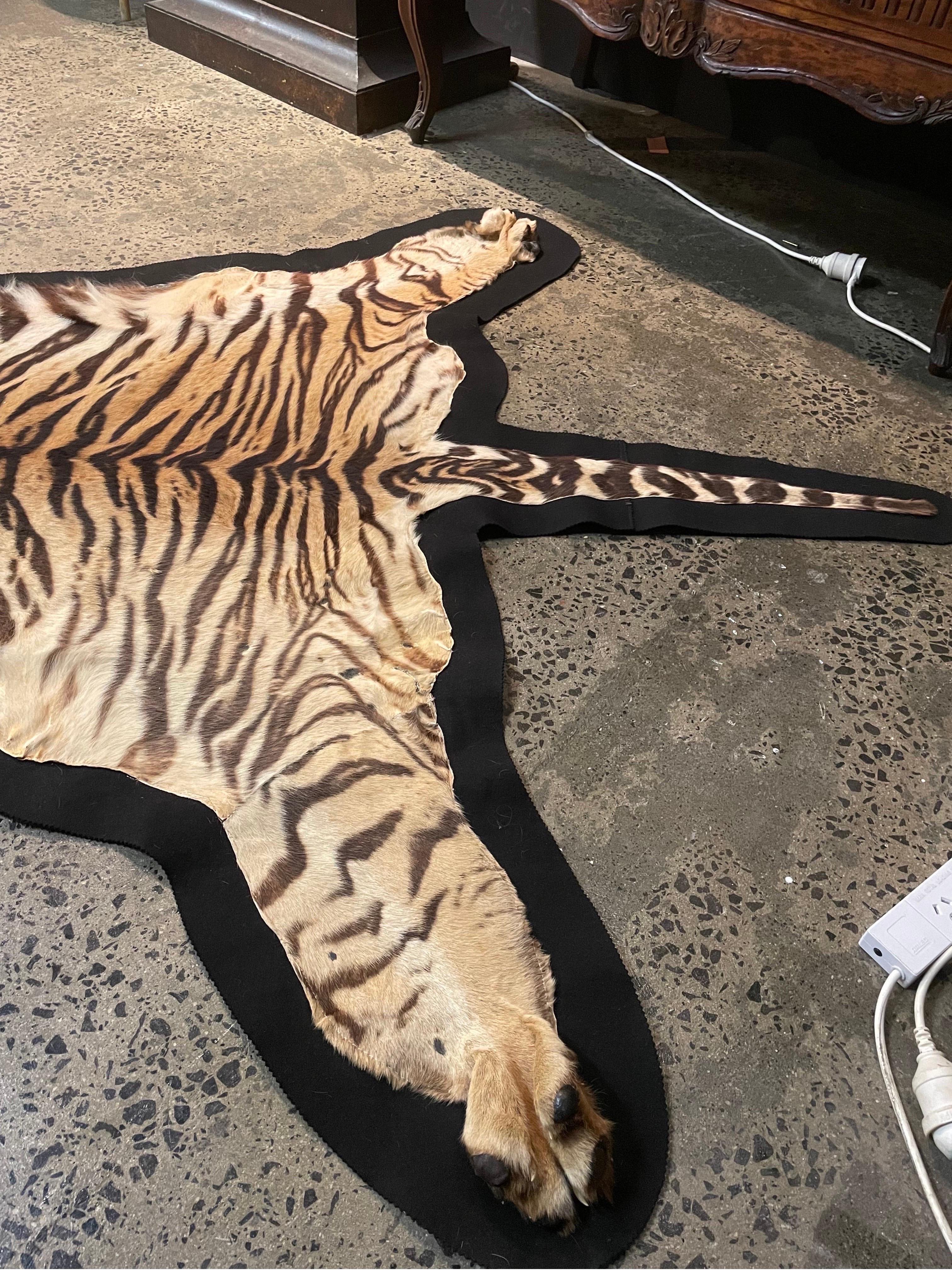 taxidermy tiger rug