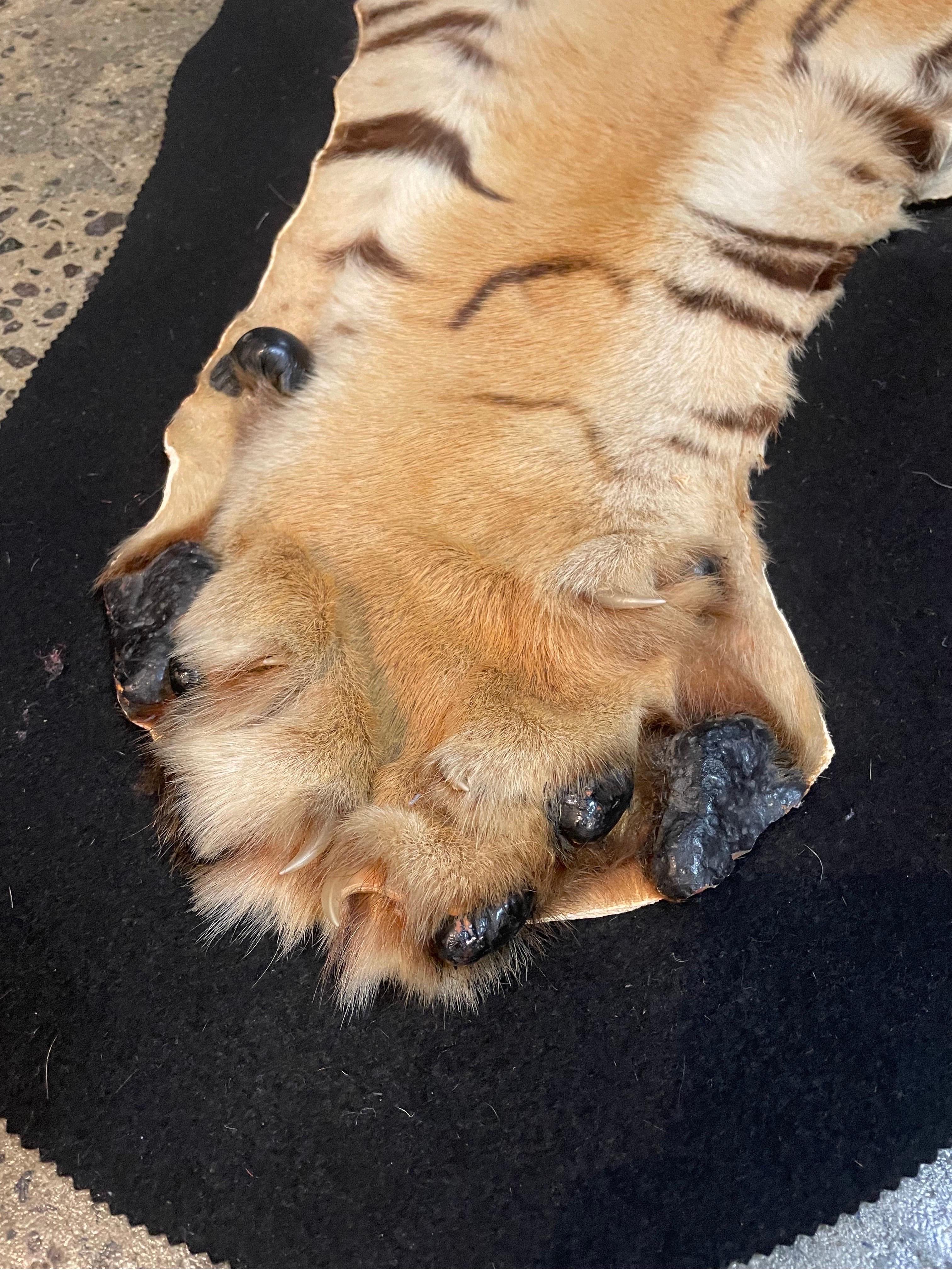 Animal Skin A Taxidermied Tiger Skin Rug, 20th Century For Sale