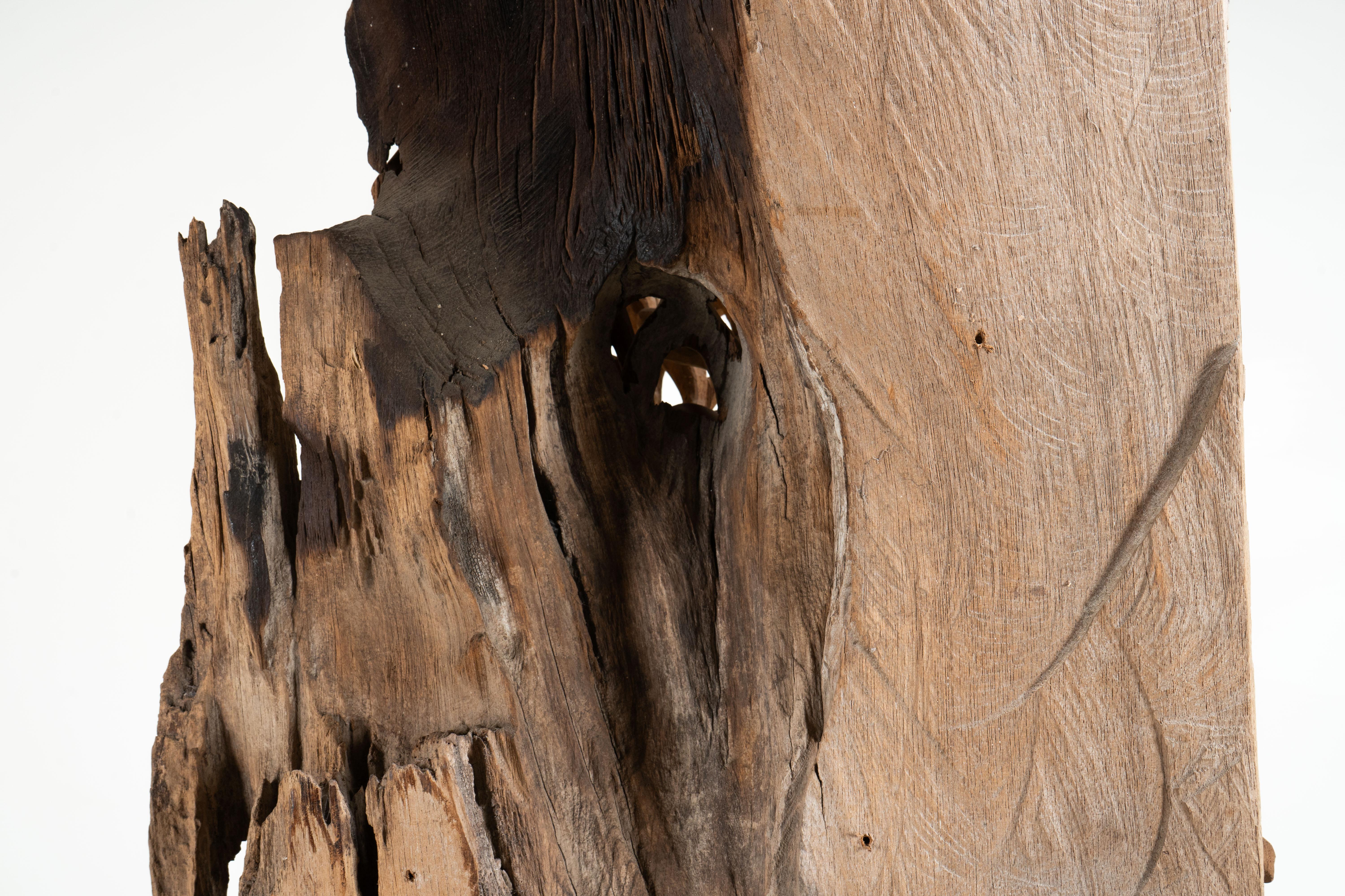 A Teakwood Carving of an Orchid For Sale 3